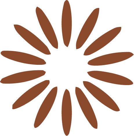A brown flower with elongated petals arranged in a circular pattern.