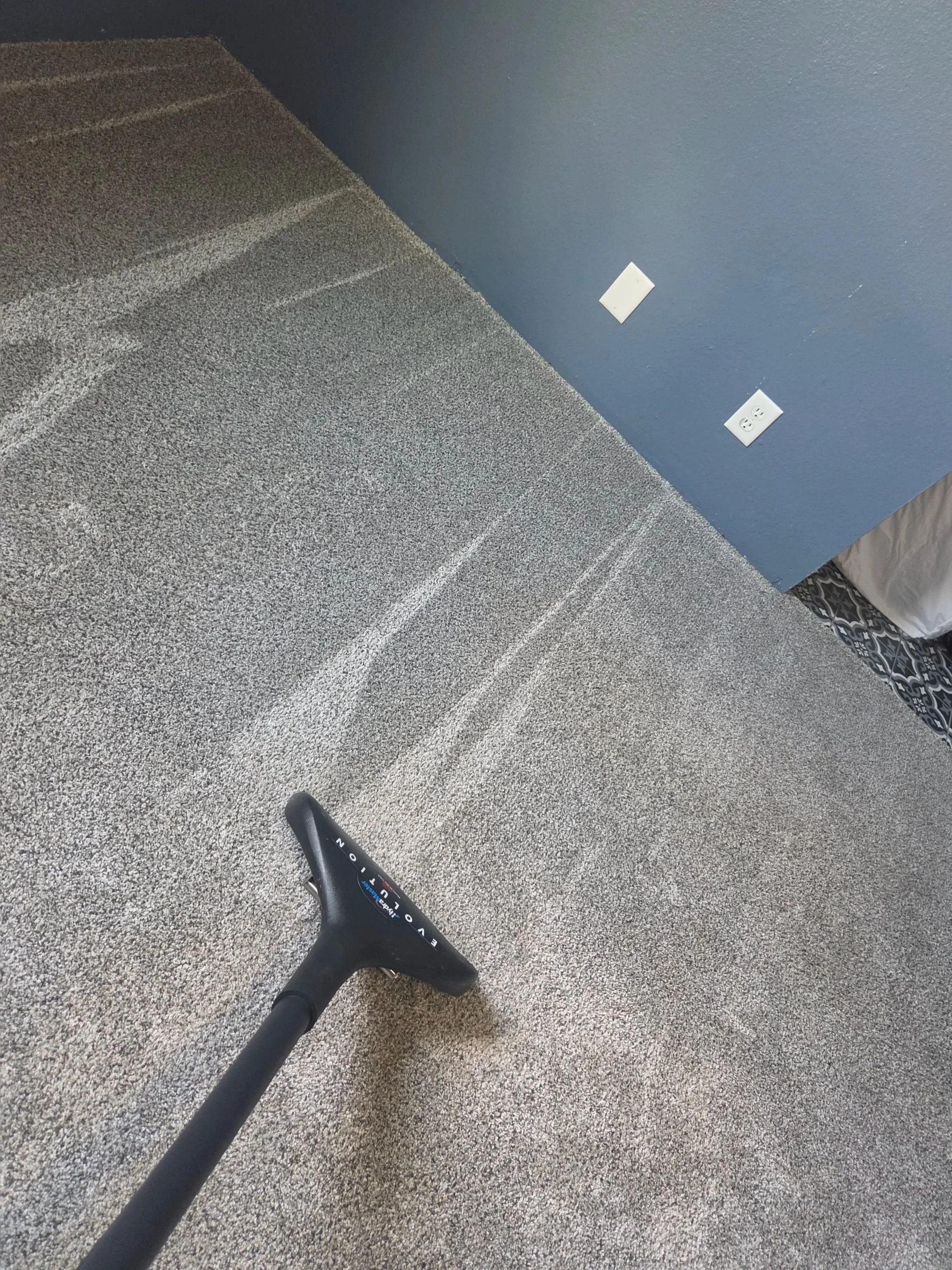 carpet cleaning