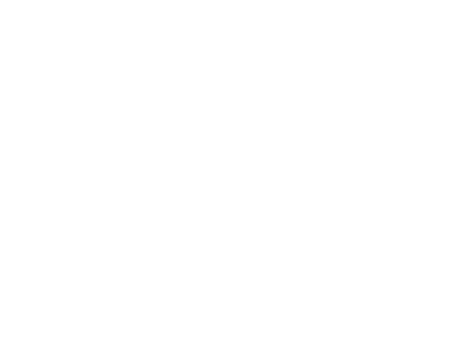 Aniko Hill | Digital Wellness Expert