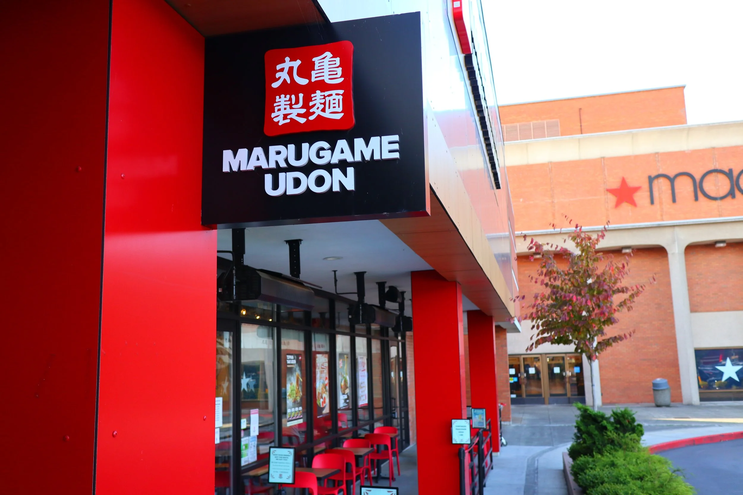 Marugame Udon