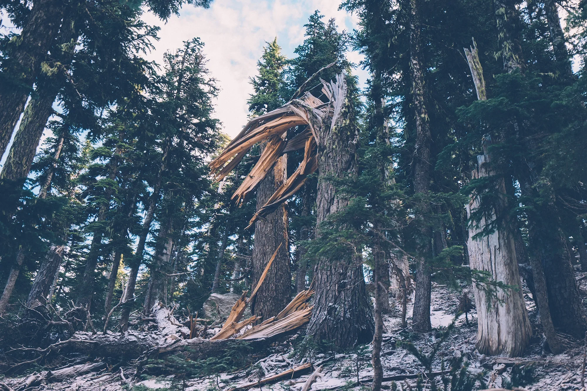 Your Guide to Staying Lean: The 8 Types of Waste in Lean Practices