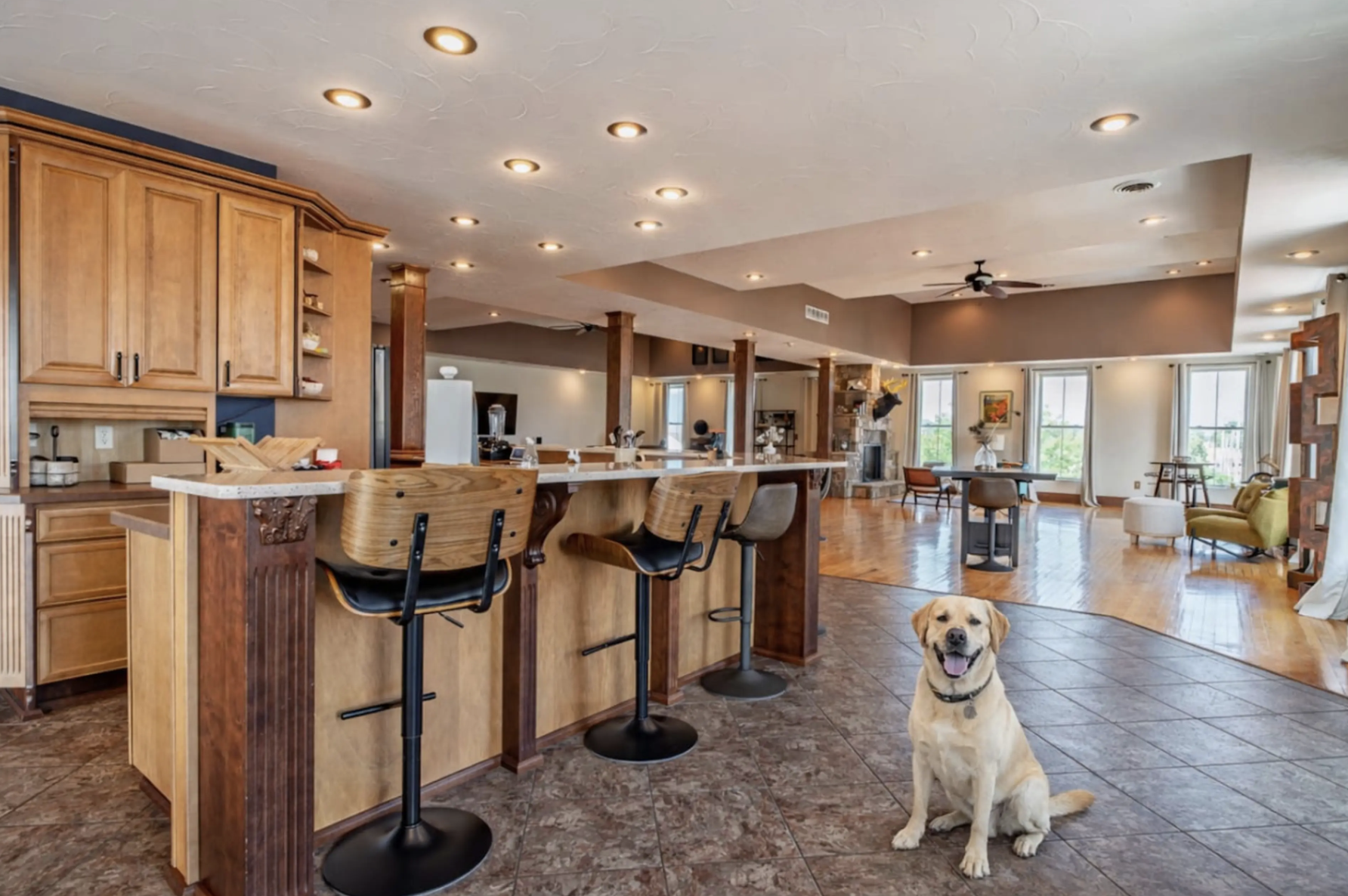 Spacious open-concept living area with a kitchen island, wooden cabinetry, and a sitting area with armchairs. A yellow Labrador retriever is sitting on the tiled floor in the foreground, smiling. Multiple large windows with white curtains allow natural light into the room.