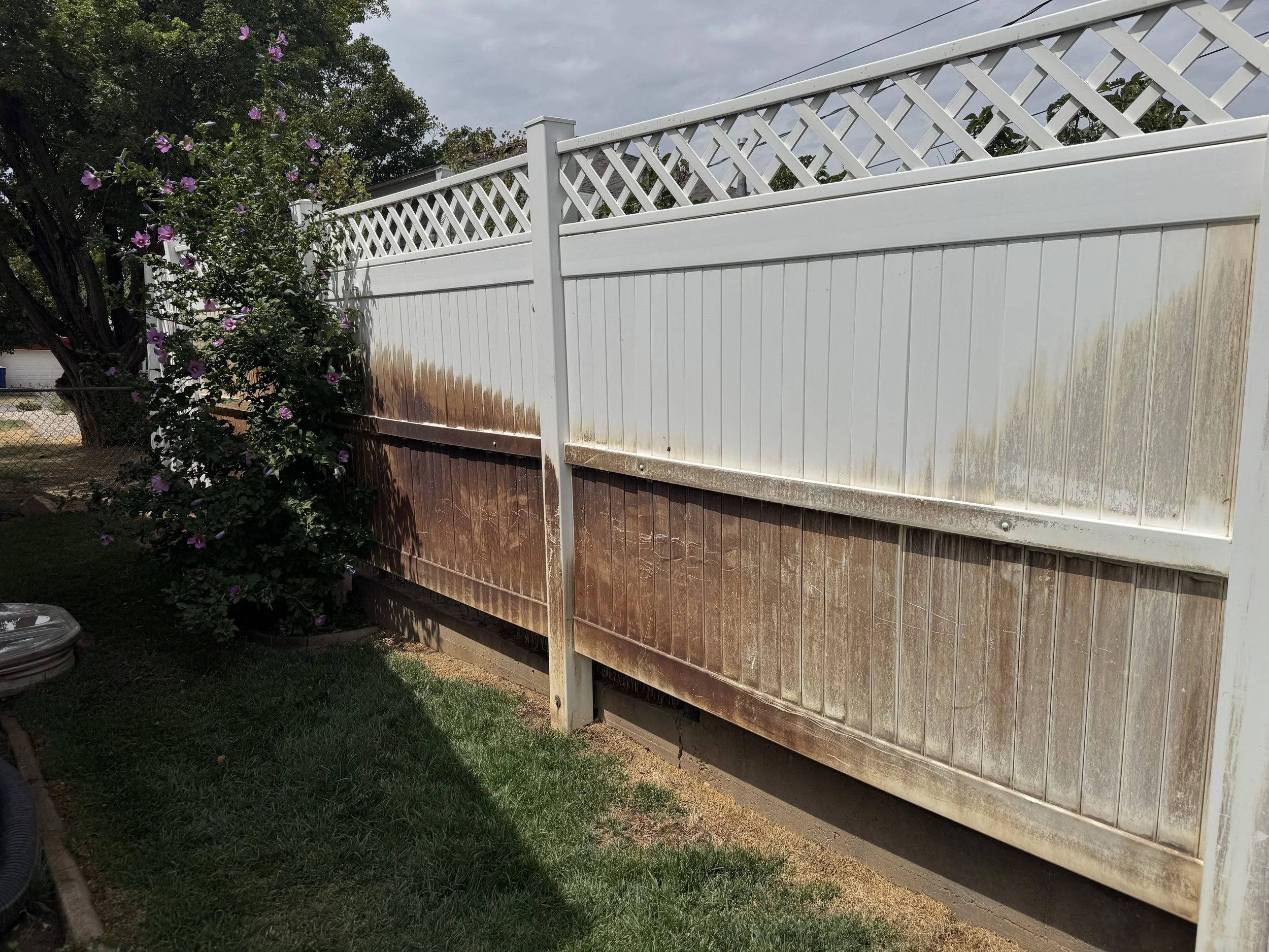 A white fence with lattice top and brown lower panels, with some dirt discoloration, beside a flowering bush with purple flowers and green leaves. Overcast sky in the background.