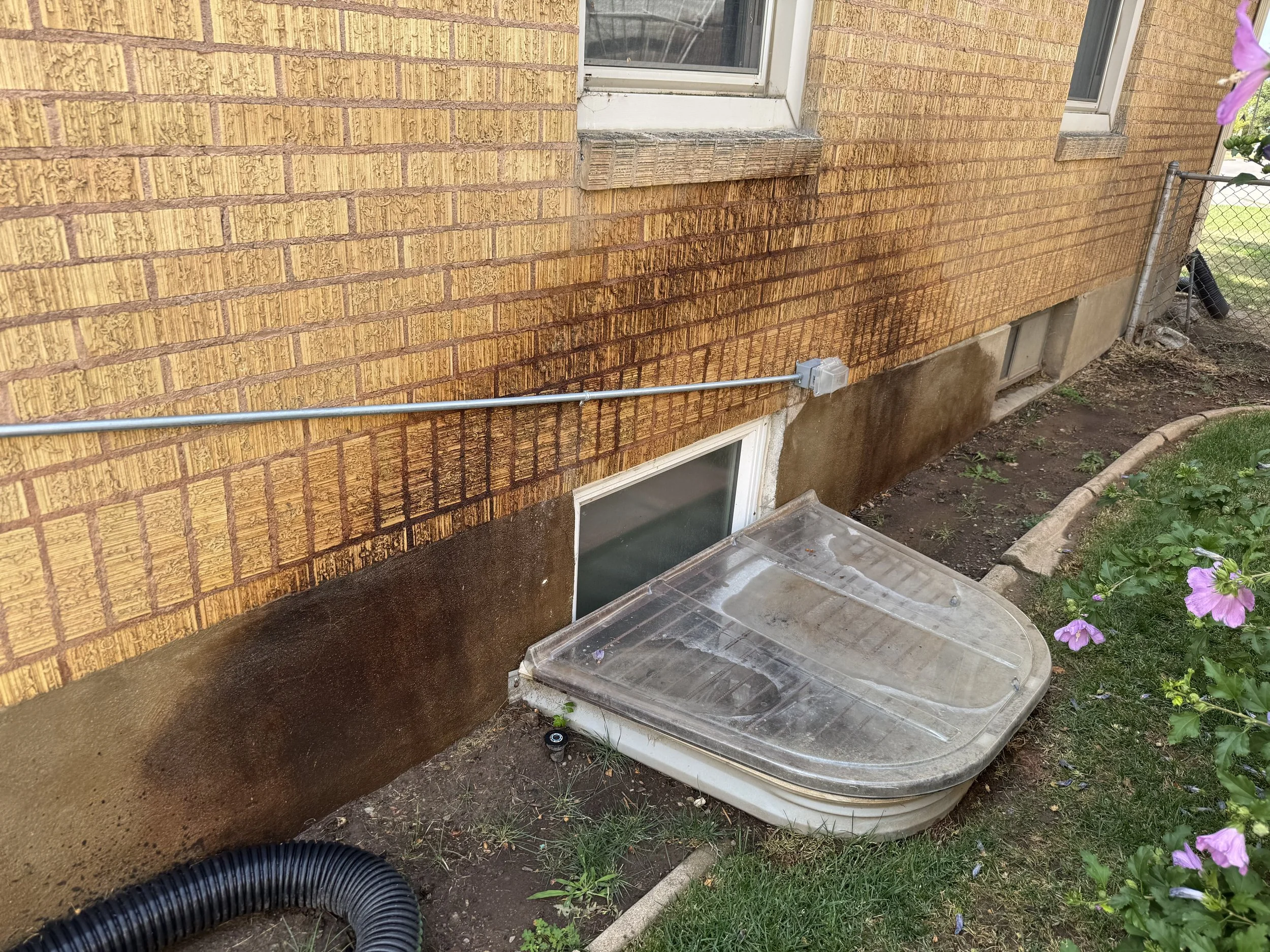 A house exterior with a brick wall, two windows, and a garden hose connected to a basin. There are purple flowers in the foreground.
