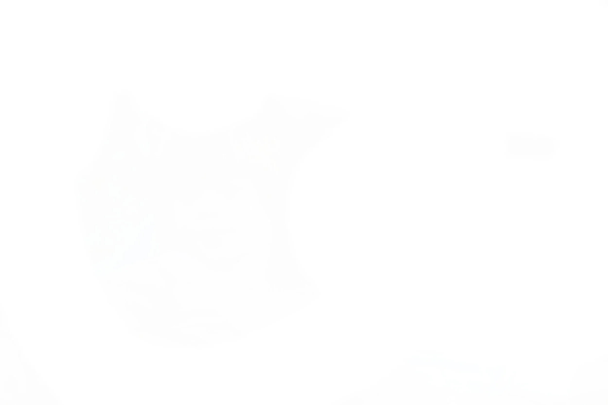 A white background with scattered faint graphical elements.