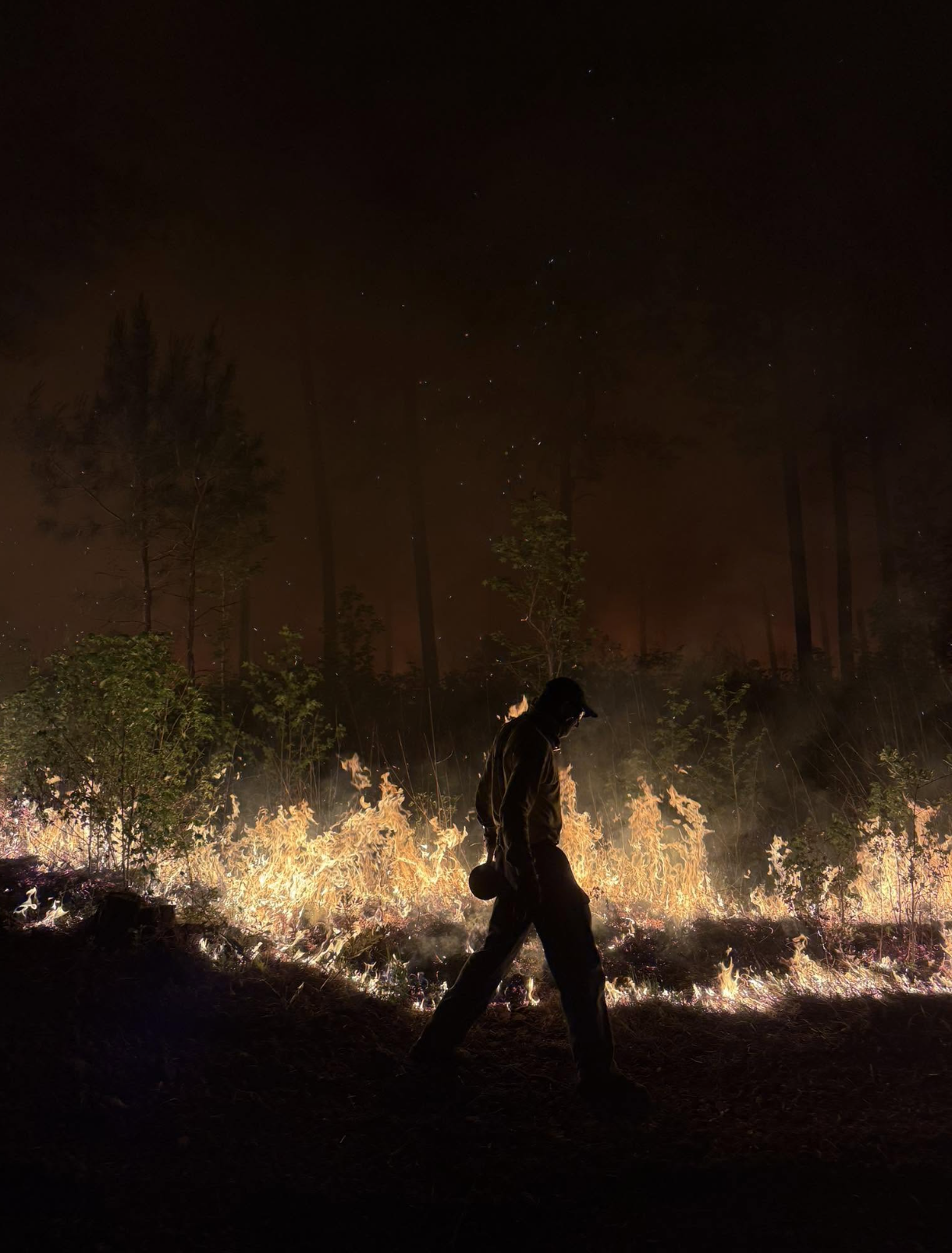 Prescribed Fire