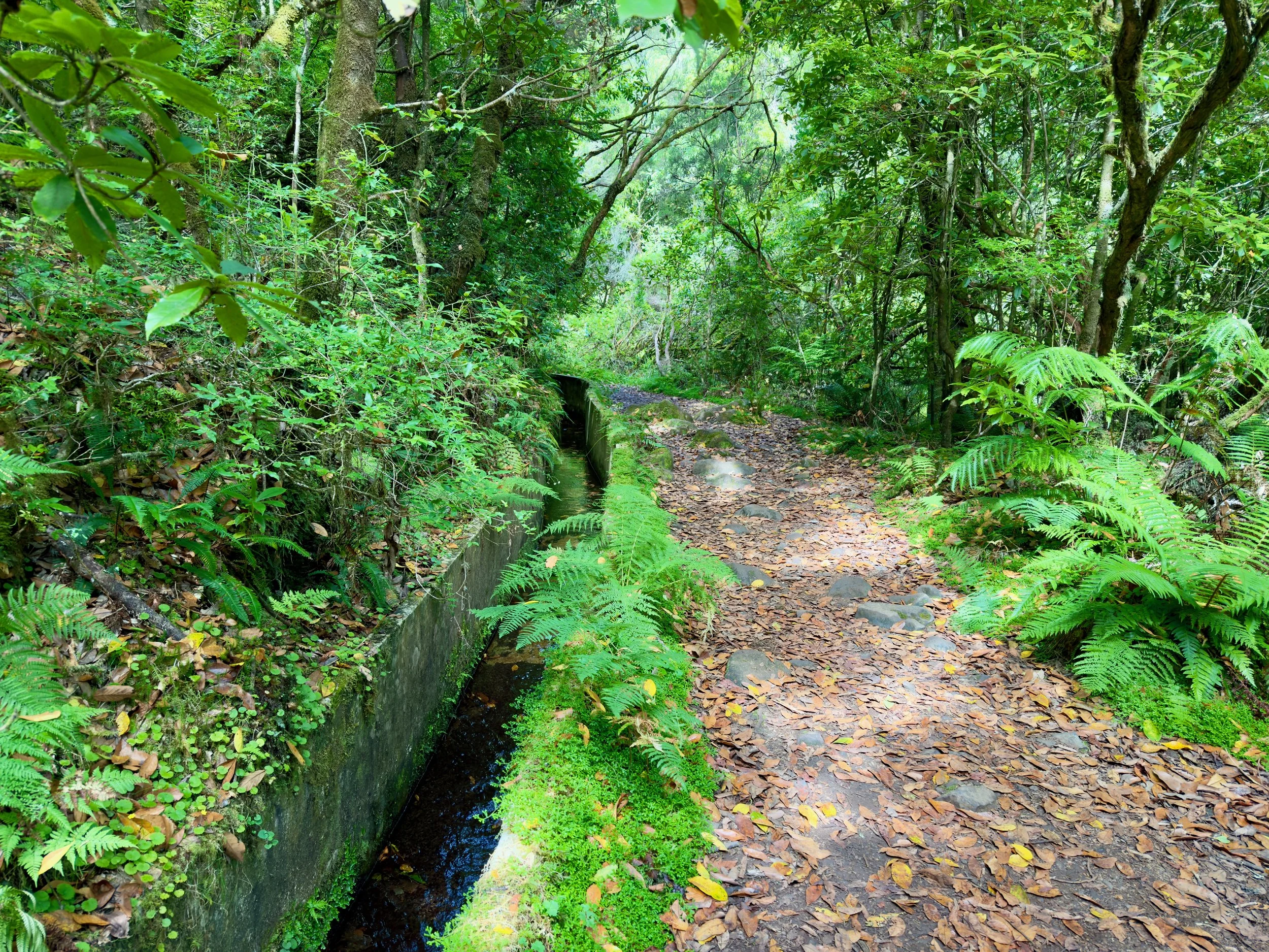 Ribeiro Frio / Portela Walk