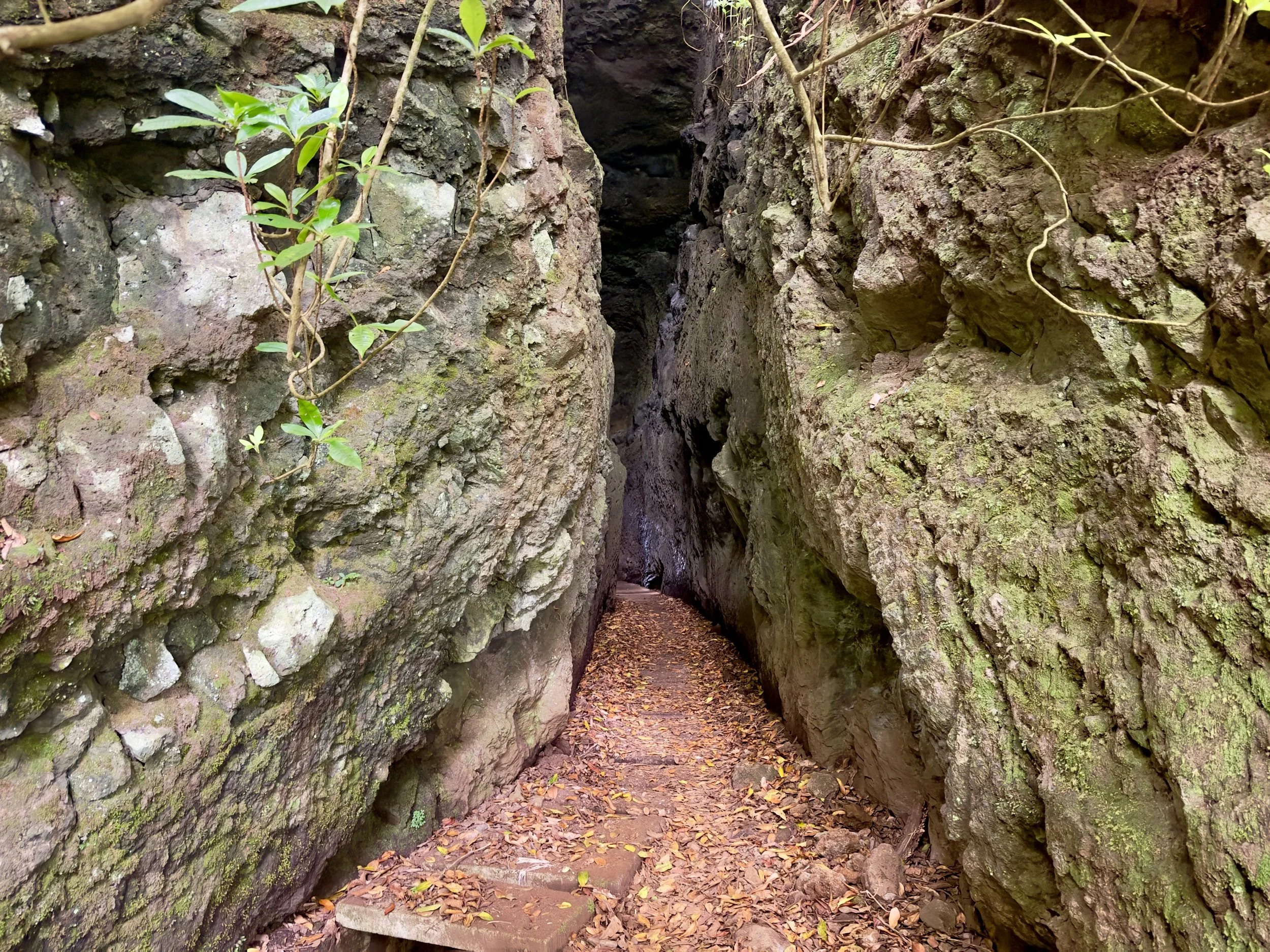 Ribeiro Frio / Portela Walk