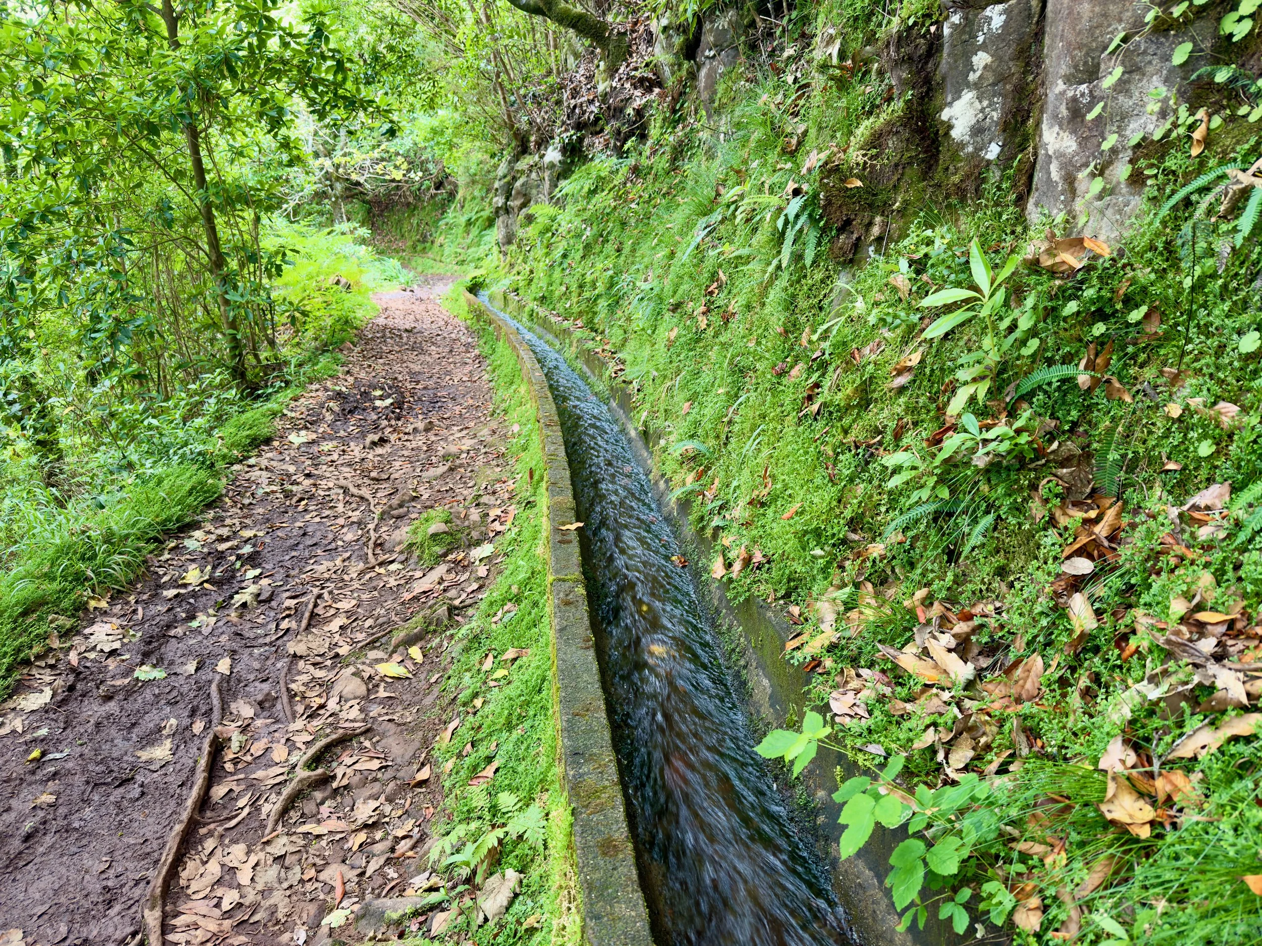 Ribeiro Frio / Portela Walk