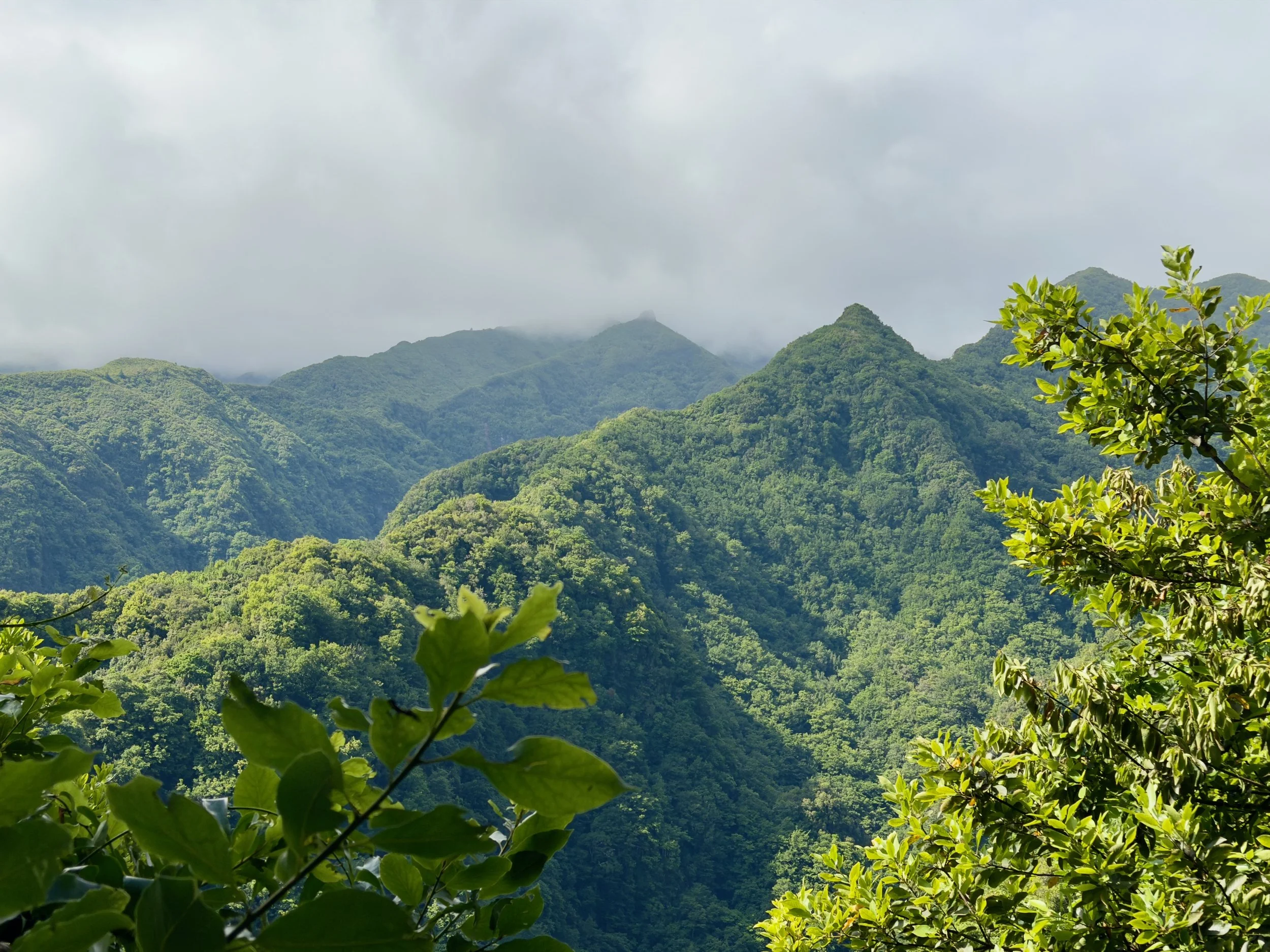 Ribeiro Frio / Portela Walk