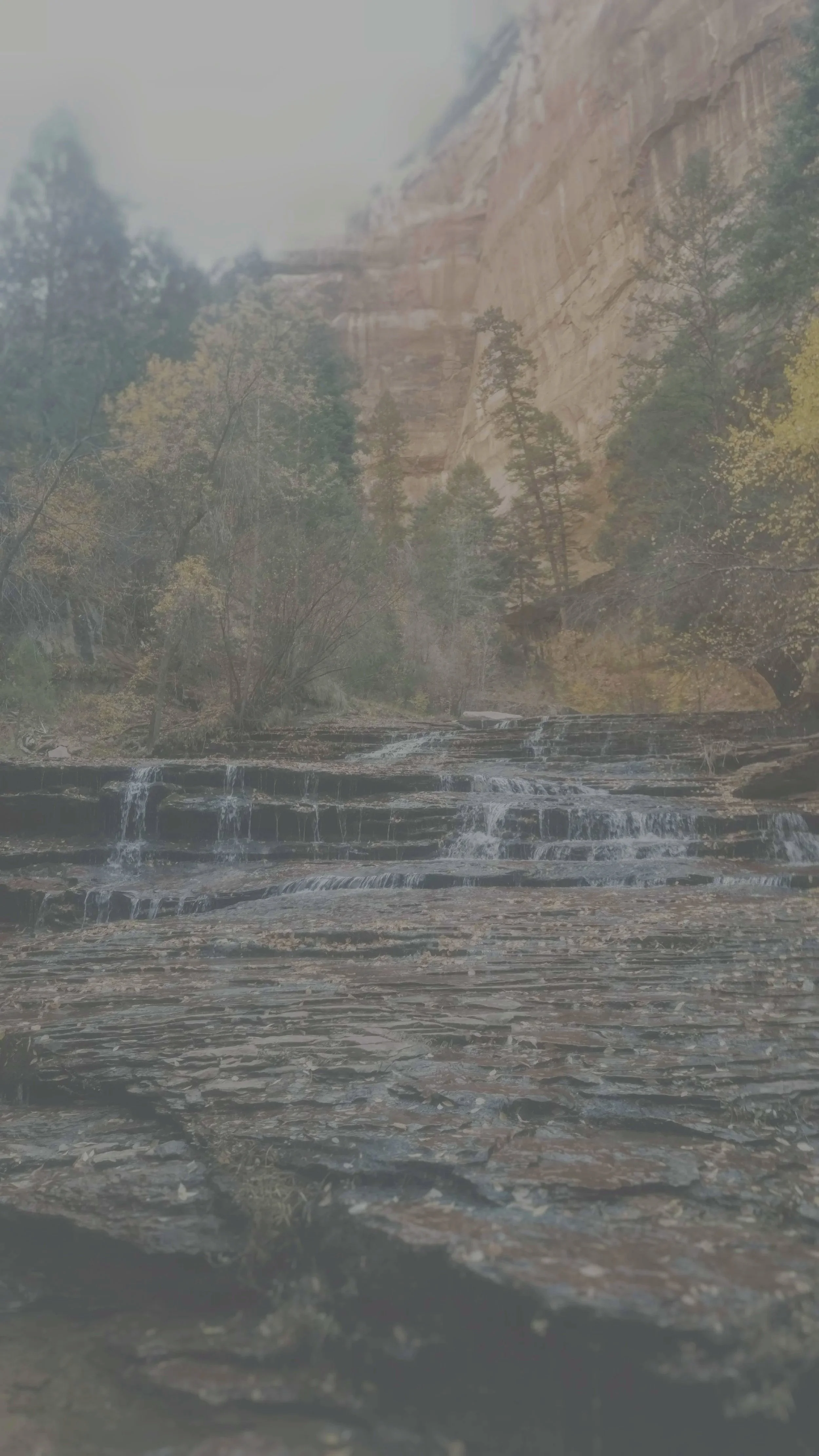 Scenic view of a mountain with trees and a waterfall flowing over rocks in a foggy landscape.