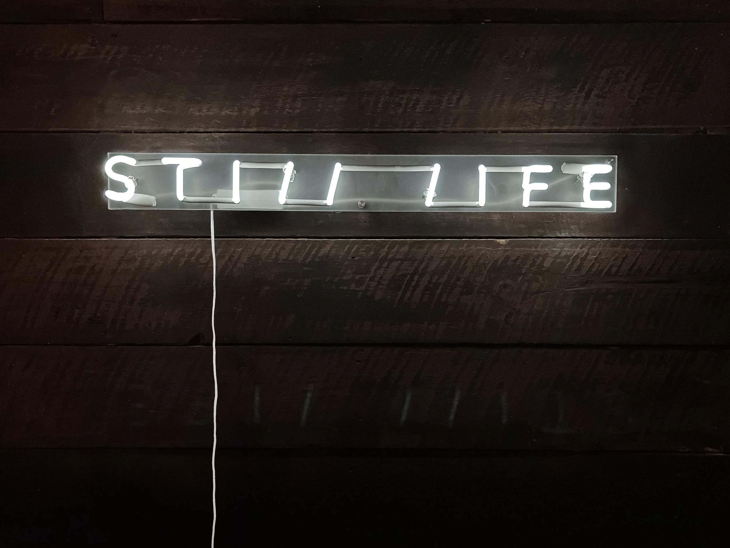 STILL LIFE