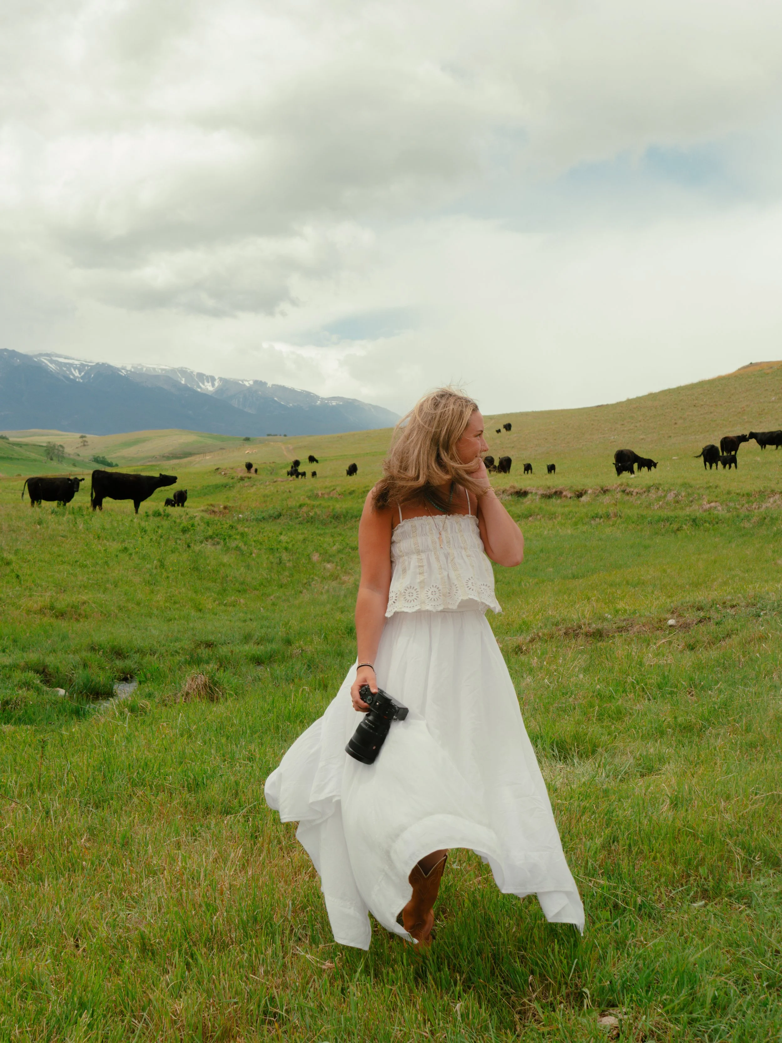 A woman wearing a white dress walking across a grassy field, holding a camera with a large lens, with cows grazing in the background and mountain range under cloudy sky.