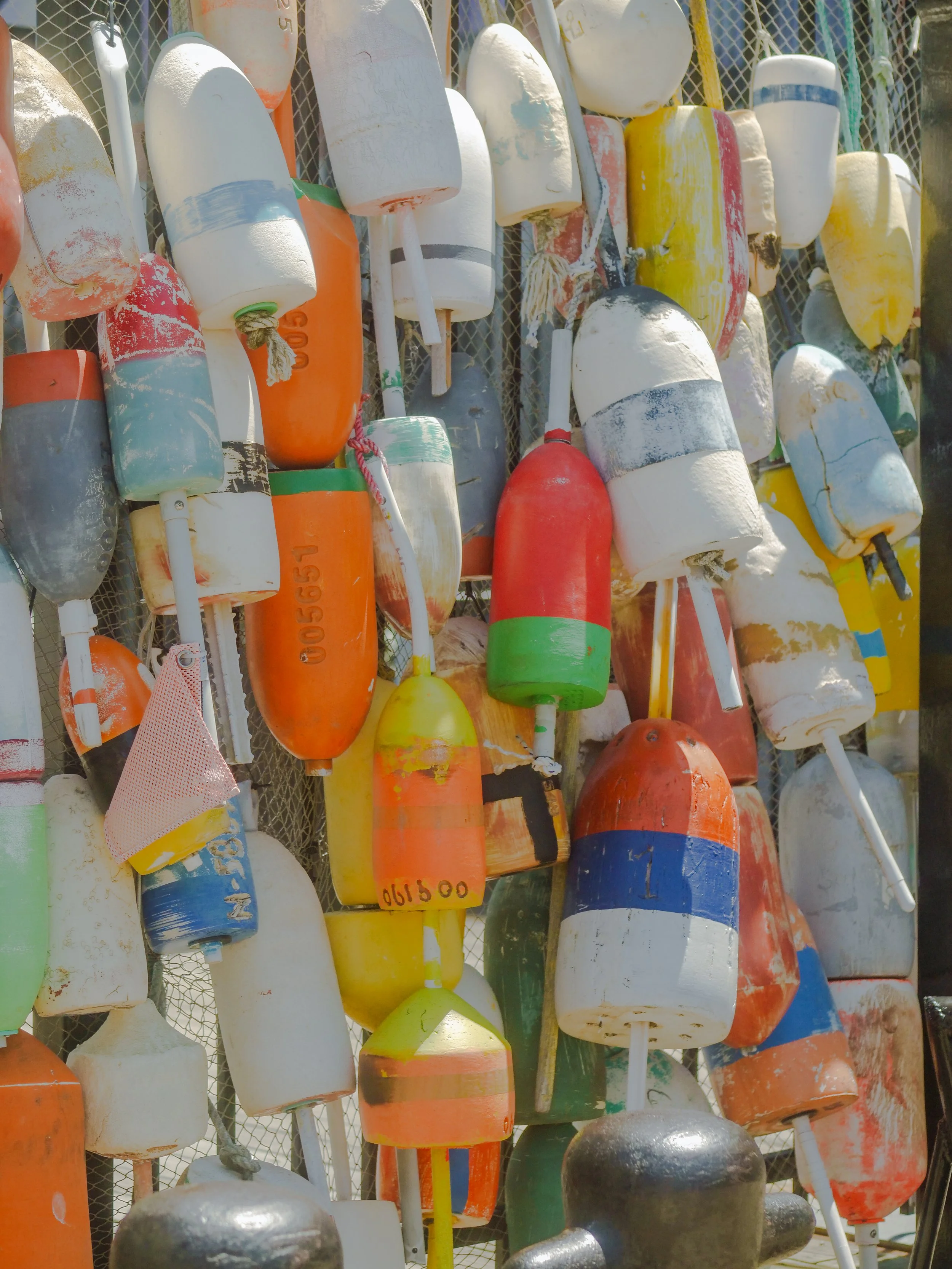 harbour colors