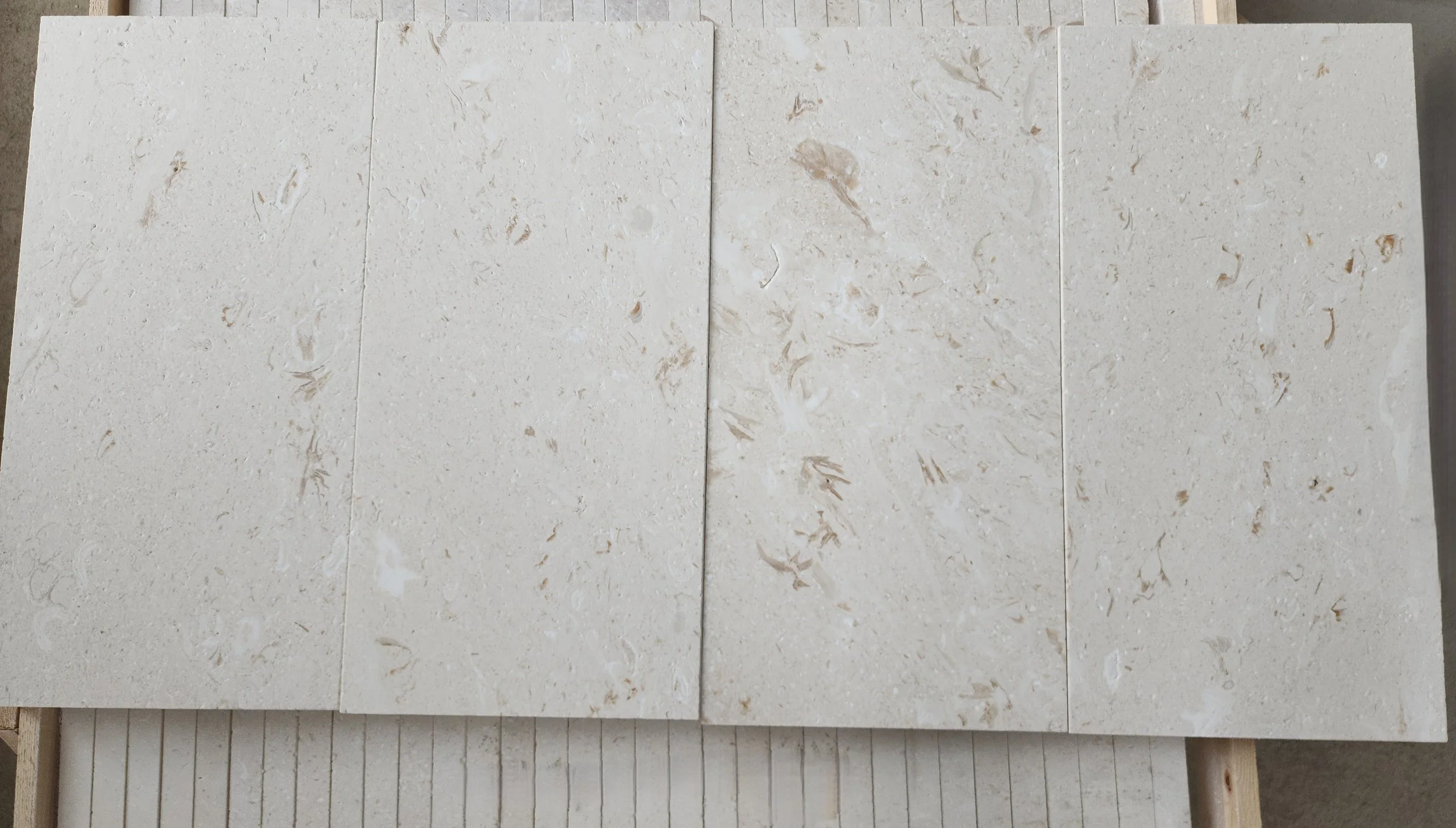 Fossil Shellstone Tumbled-1(dry look)