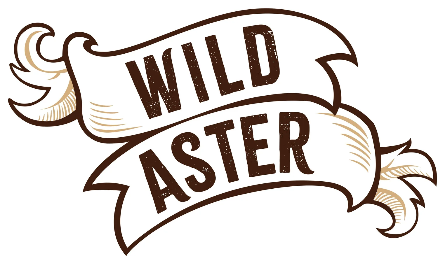 Wild Aster
