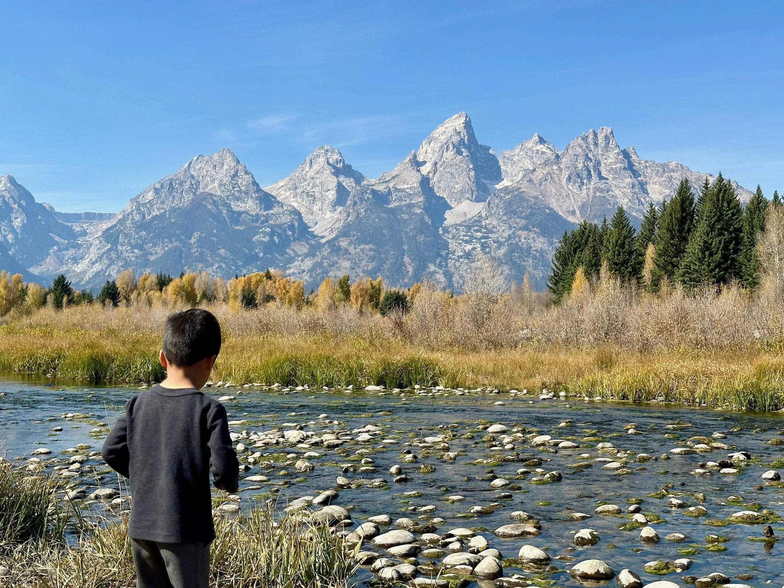 2024 Yellowstone - Grand Tetons - 59 of 66.jpeg