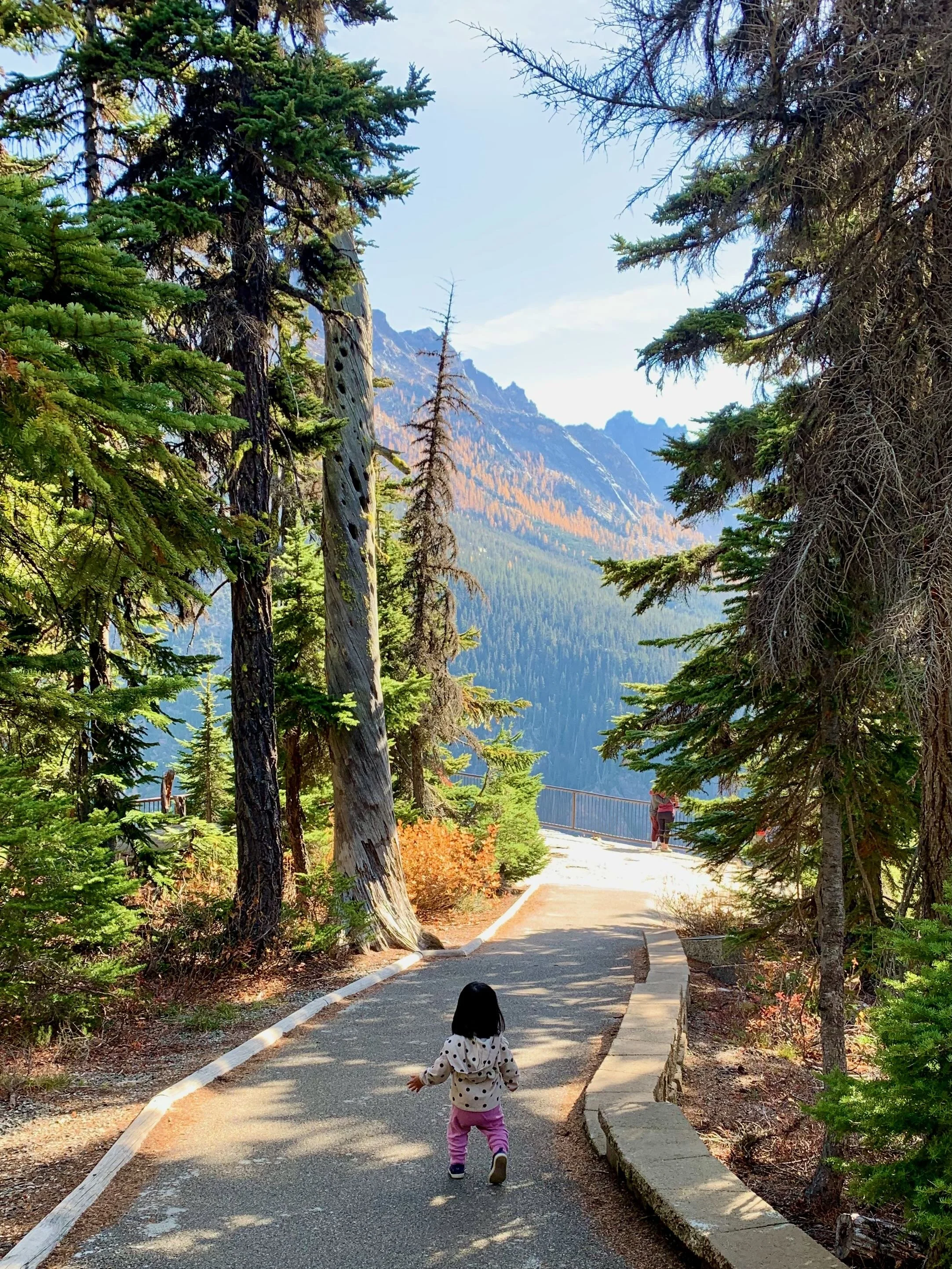 Washington Pass overlook