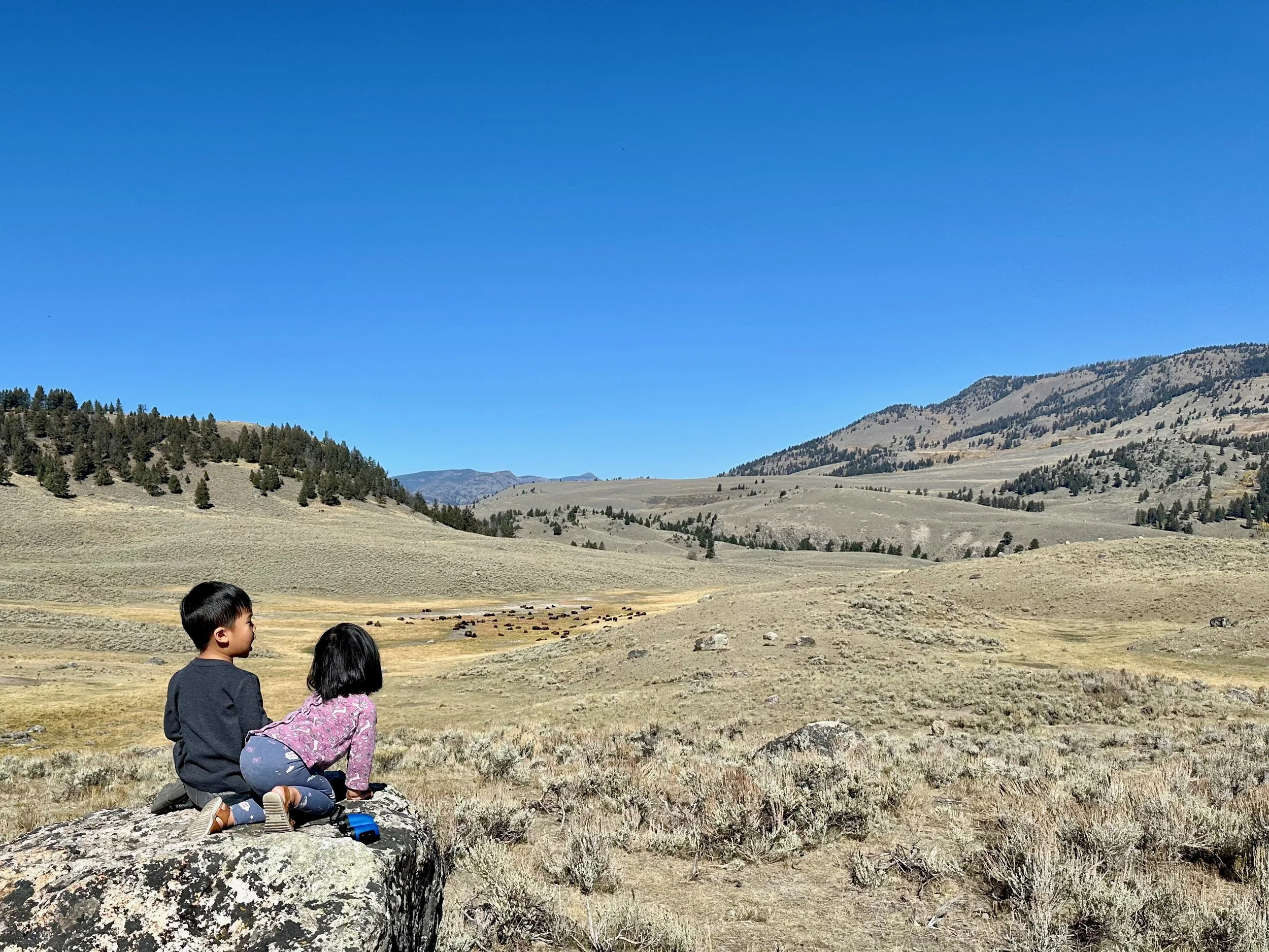 2024 Yellowstone - Grand Tetons - 4 of 66.jpeg