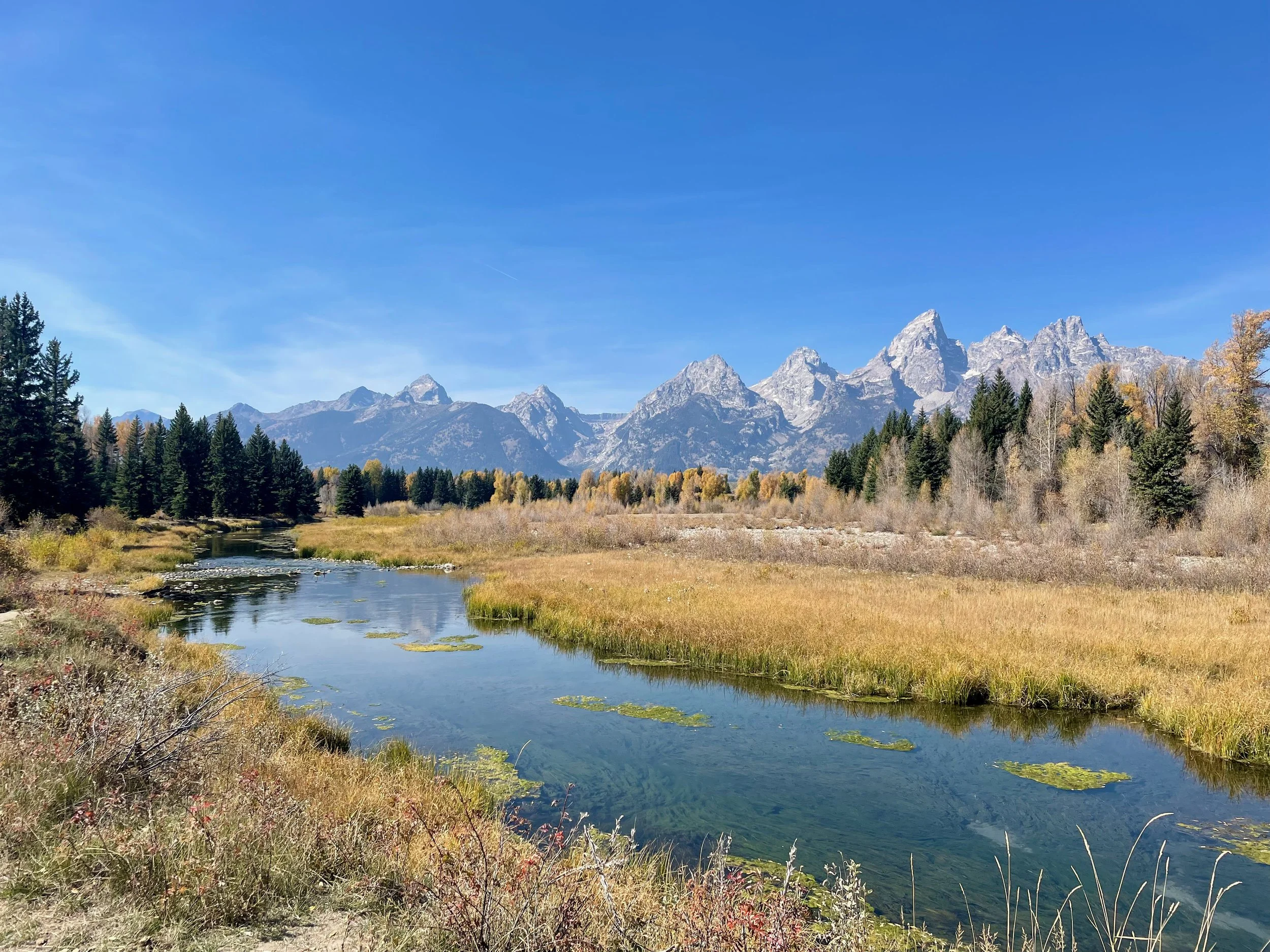 2024 Yellowstone - Grand Tetons - 56 of 66.jpeg