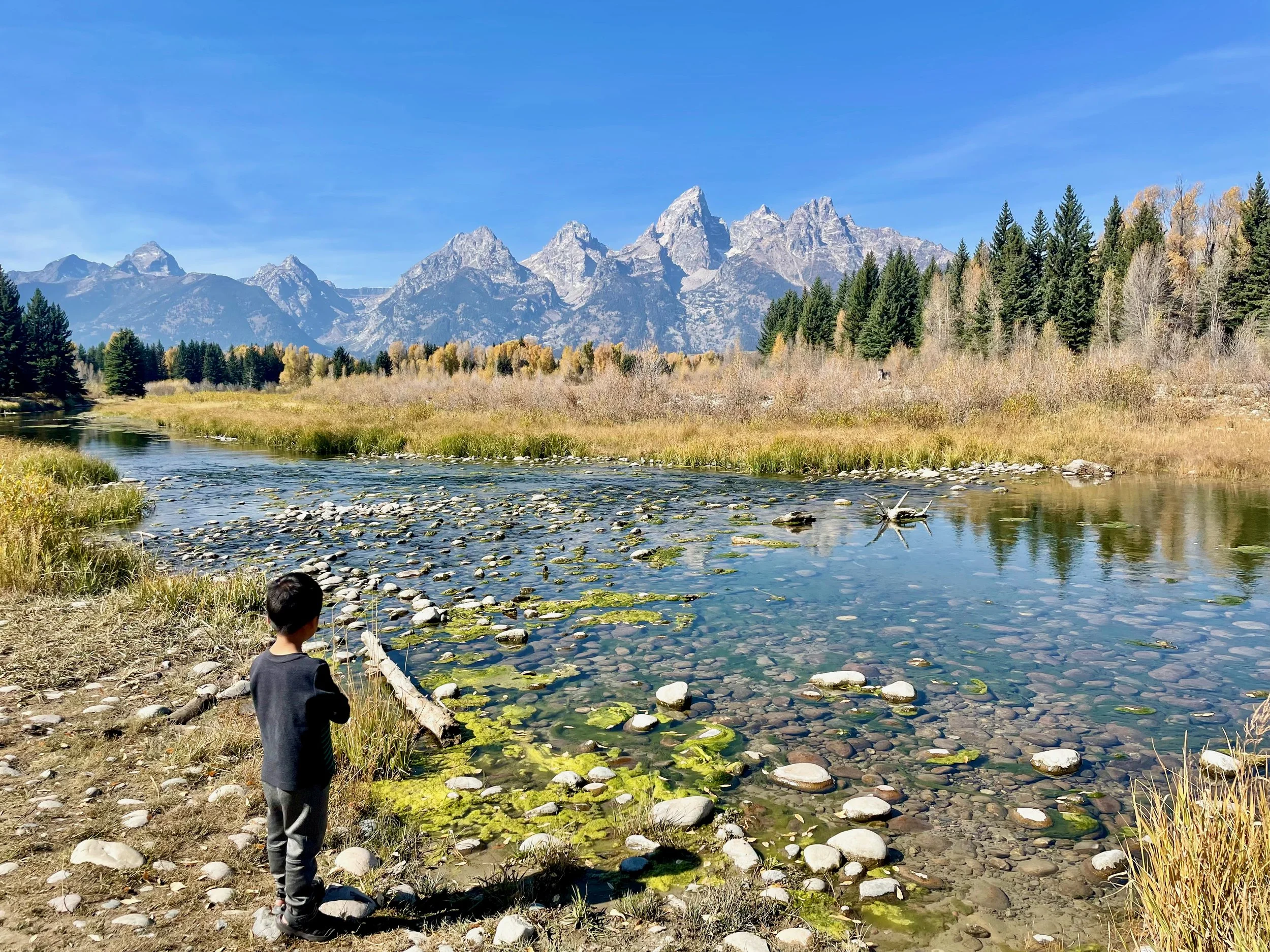 Snake River Overlook