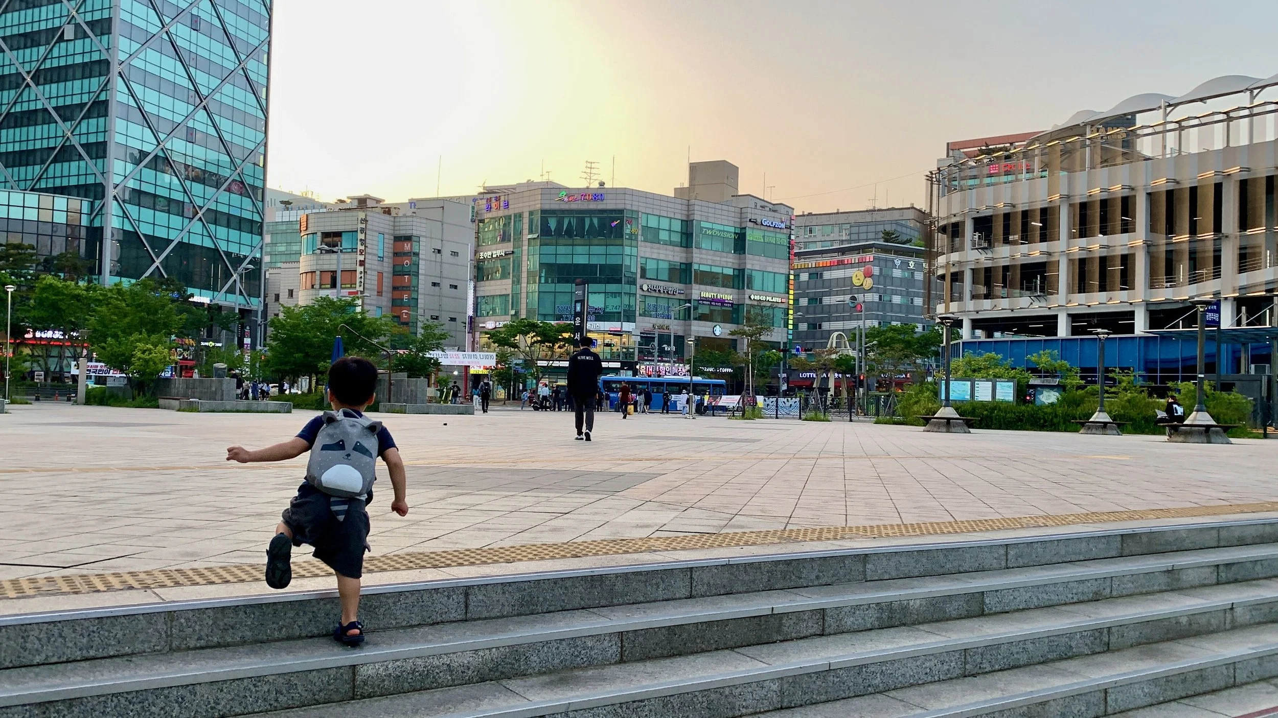 24 layover in Seoul