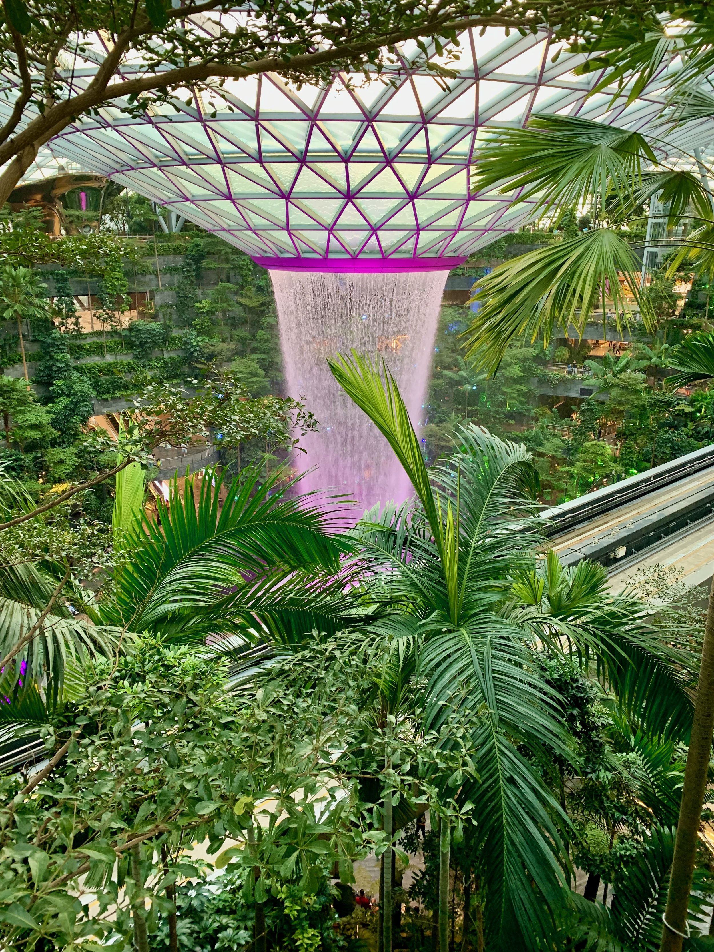 2022 Singapore - 45 of 46.jpeg