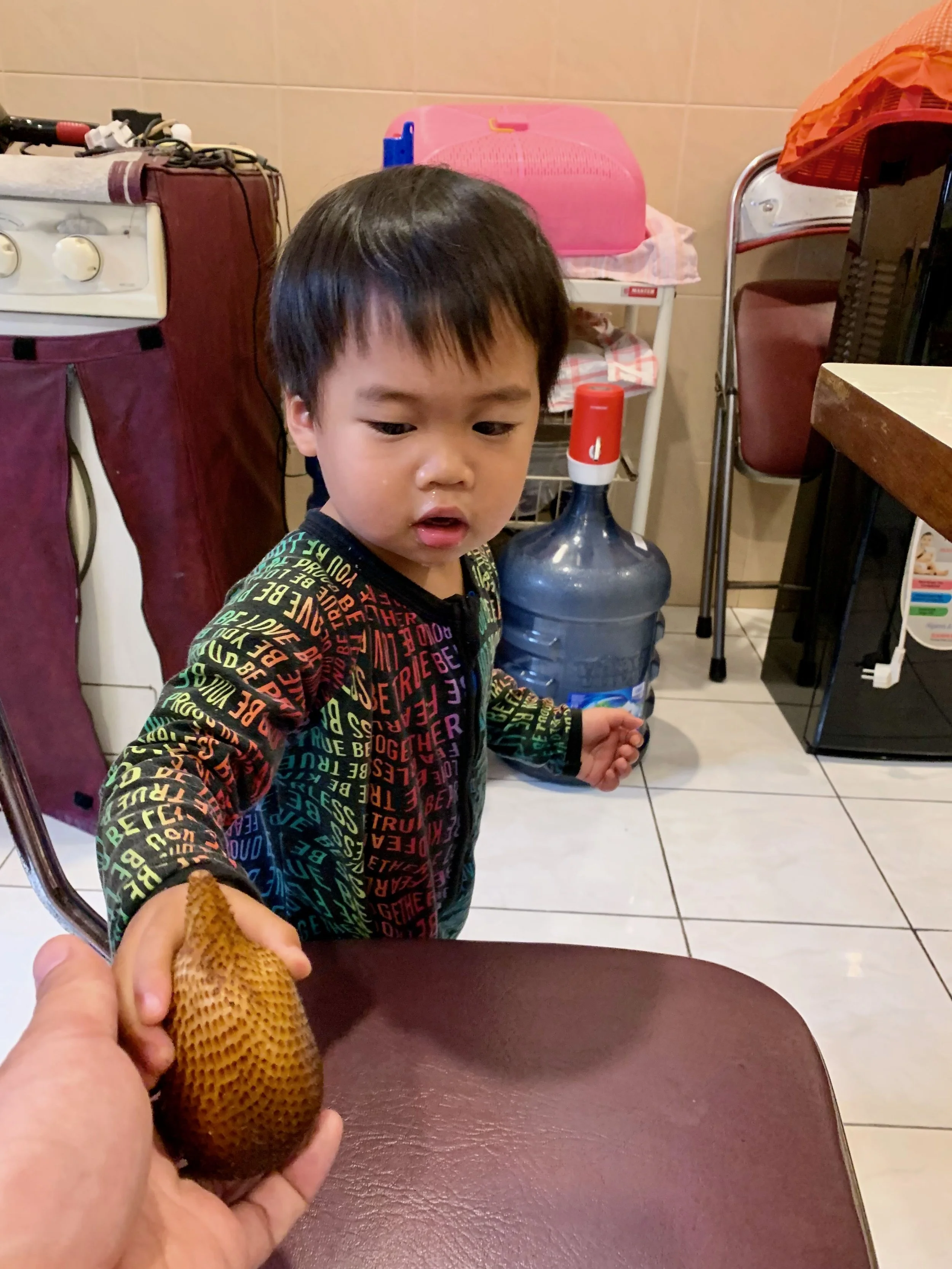 Snake fruit