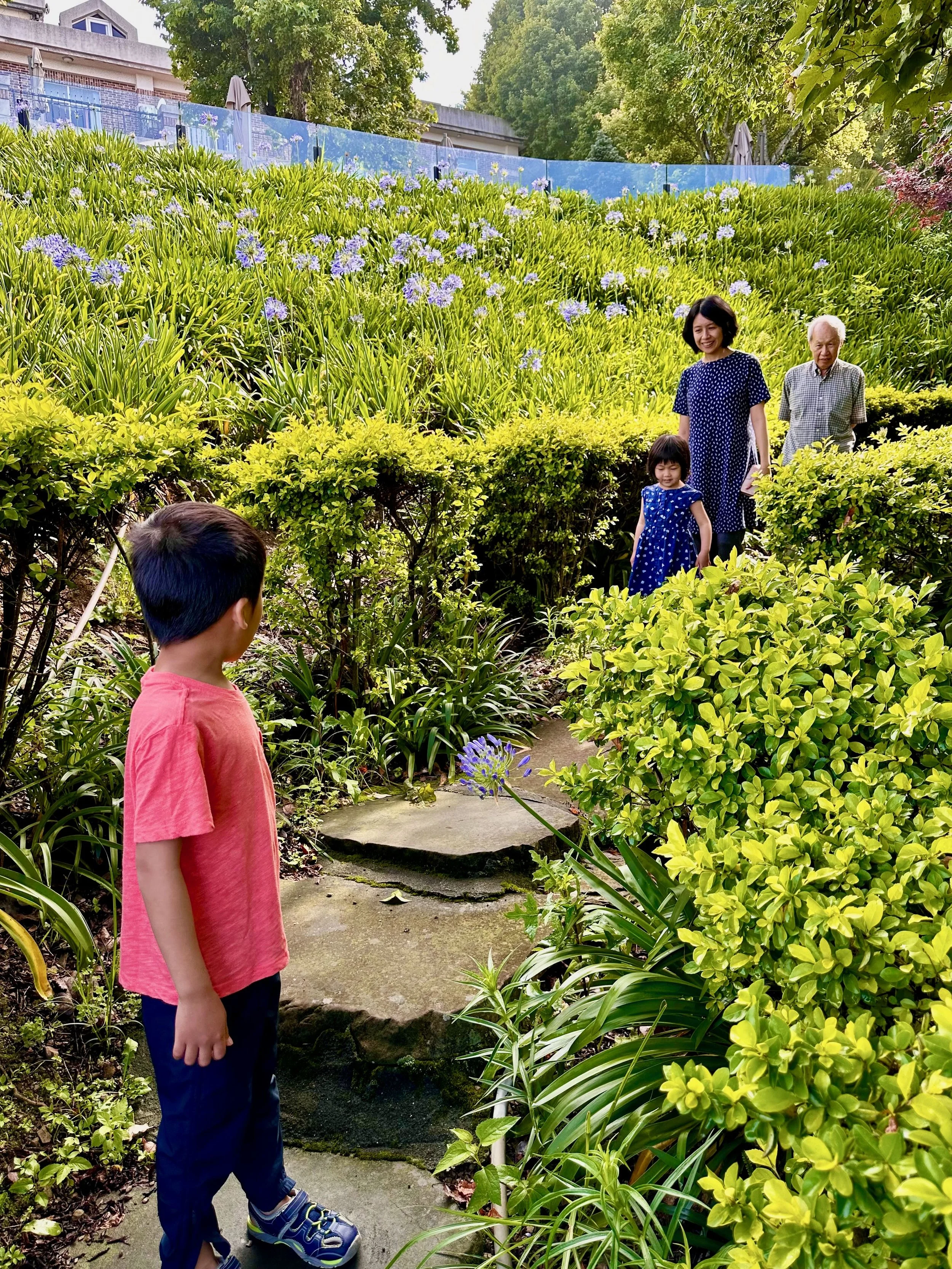 Ethan wants to look at the tadpoles in the pond