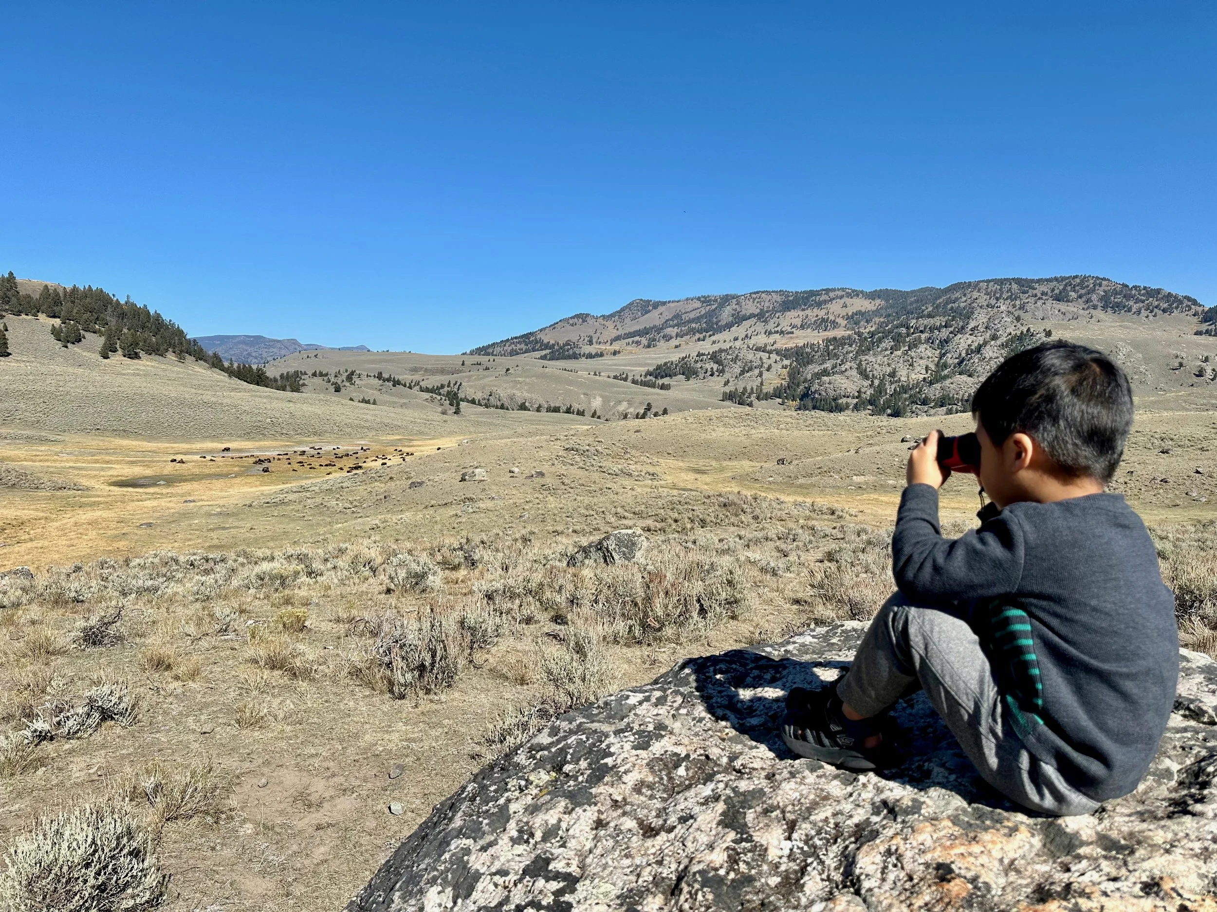 Ethan and Zia looking for Bison along the Lamar Valley in Yellowstone