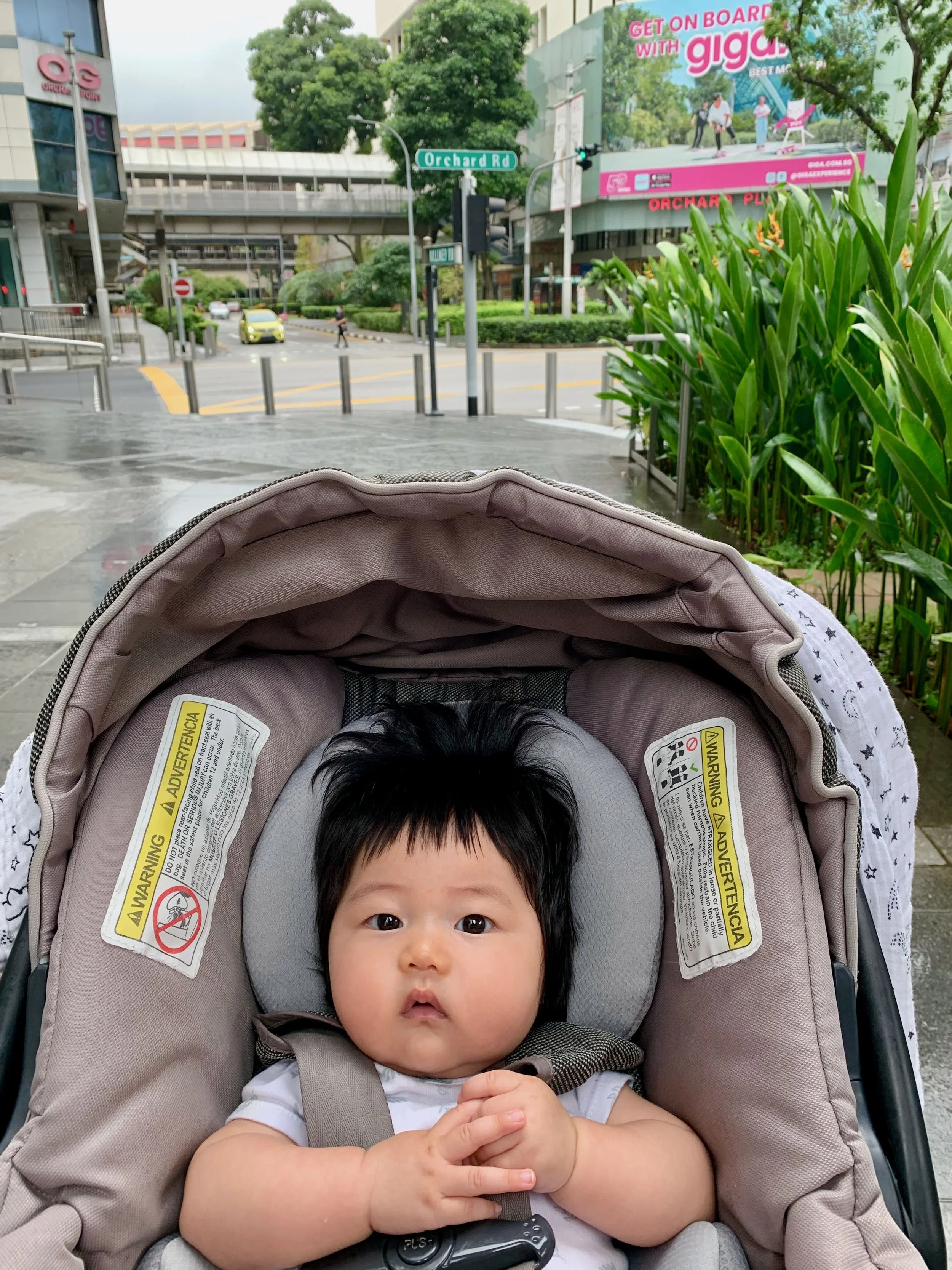 Zia on Orchard Road
