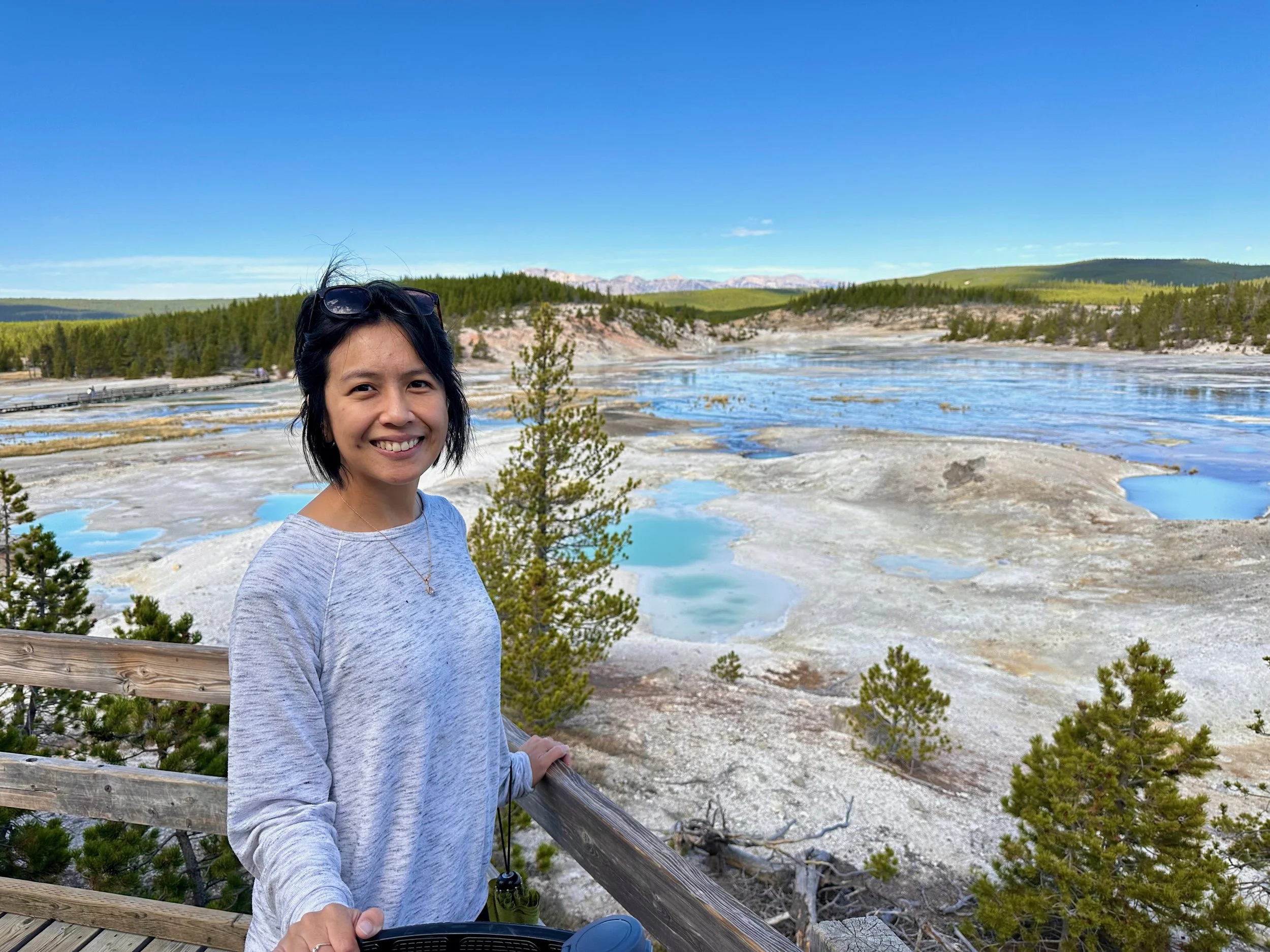 Norris Geyser Basin