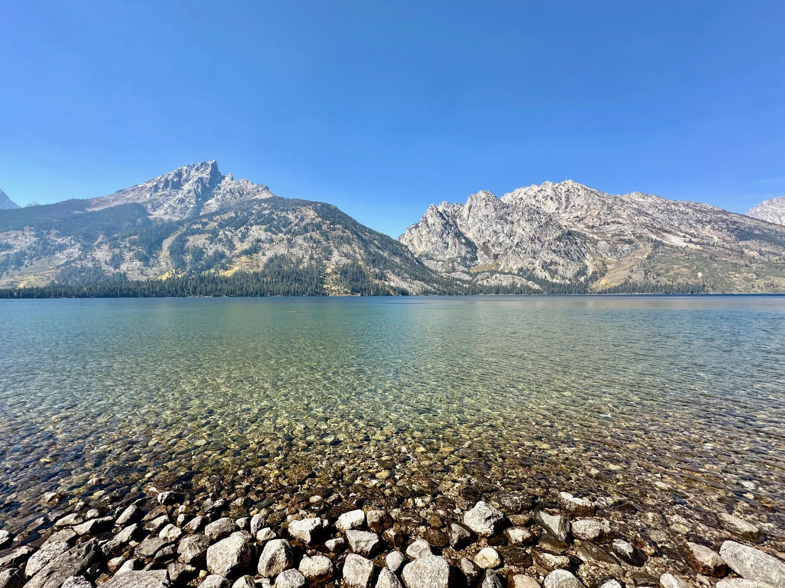 2024 Yellowstone - Grand Tetons - 49 of 66.jpeg