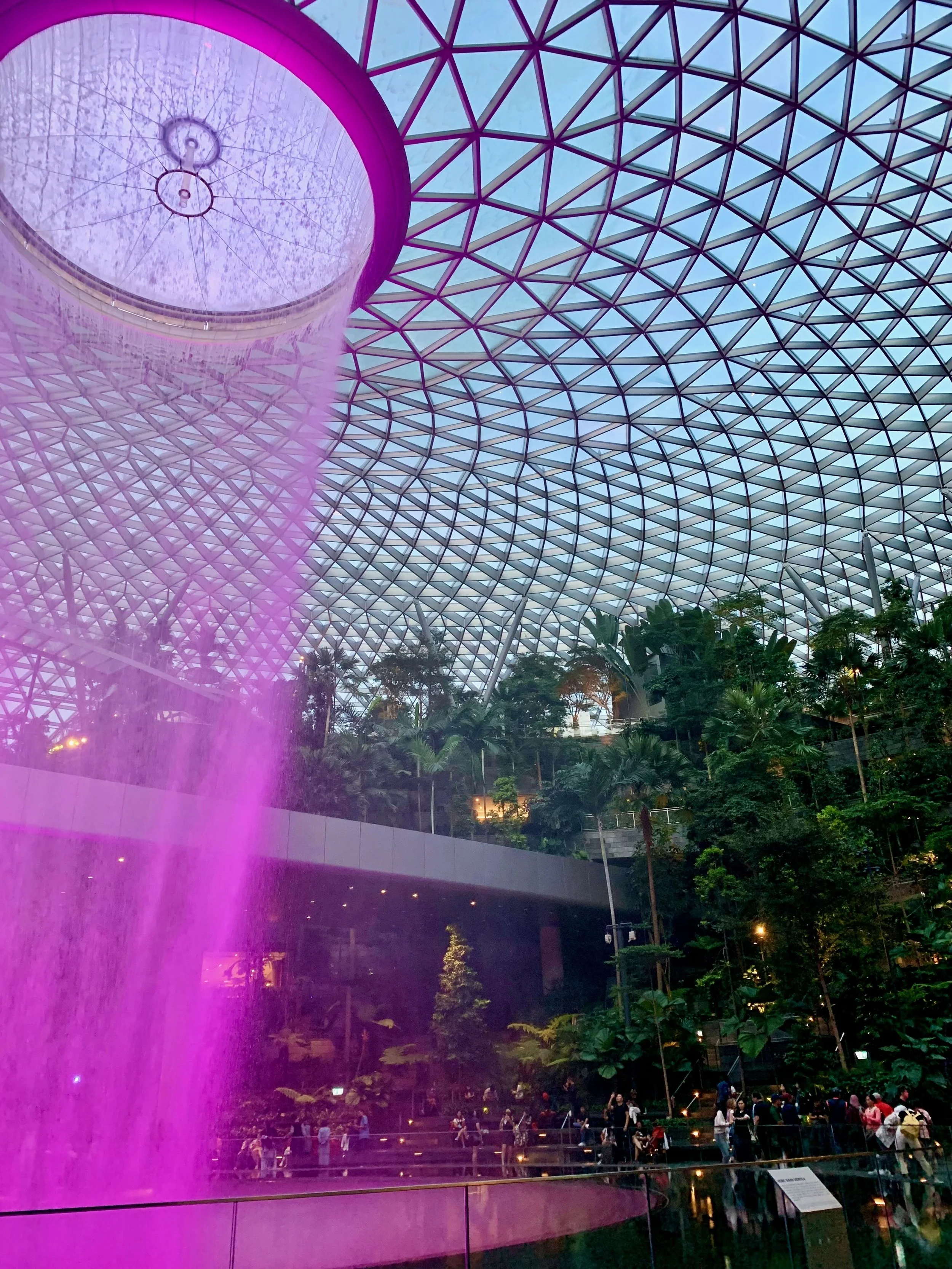 2022 Singapore - 46 of 46.jpeg
