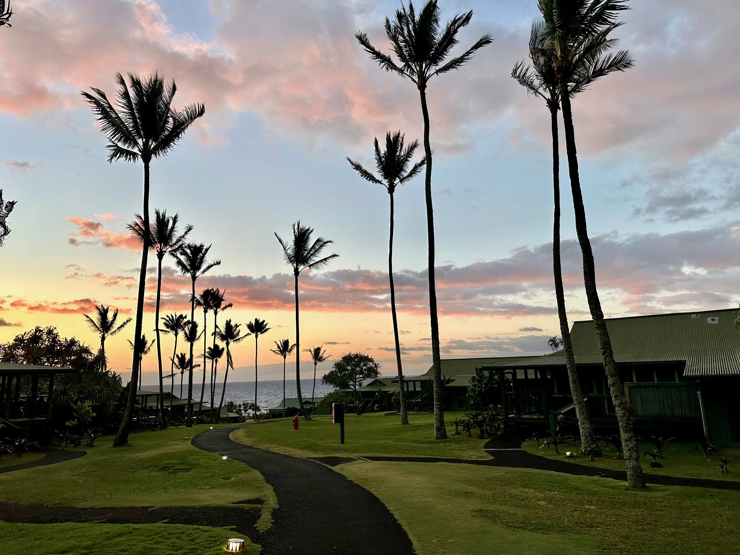 2026 Maui - 30 of 53.jpeg