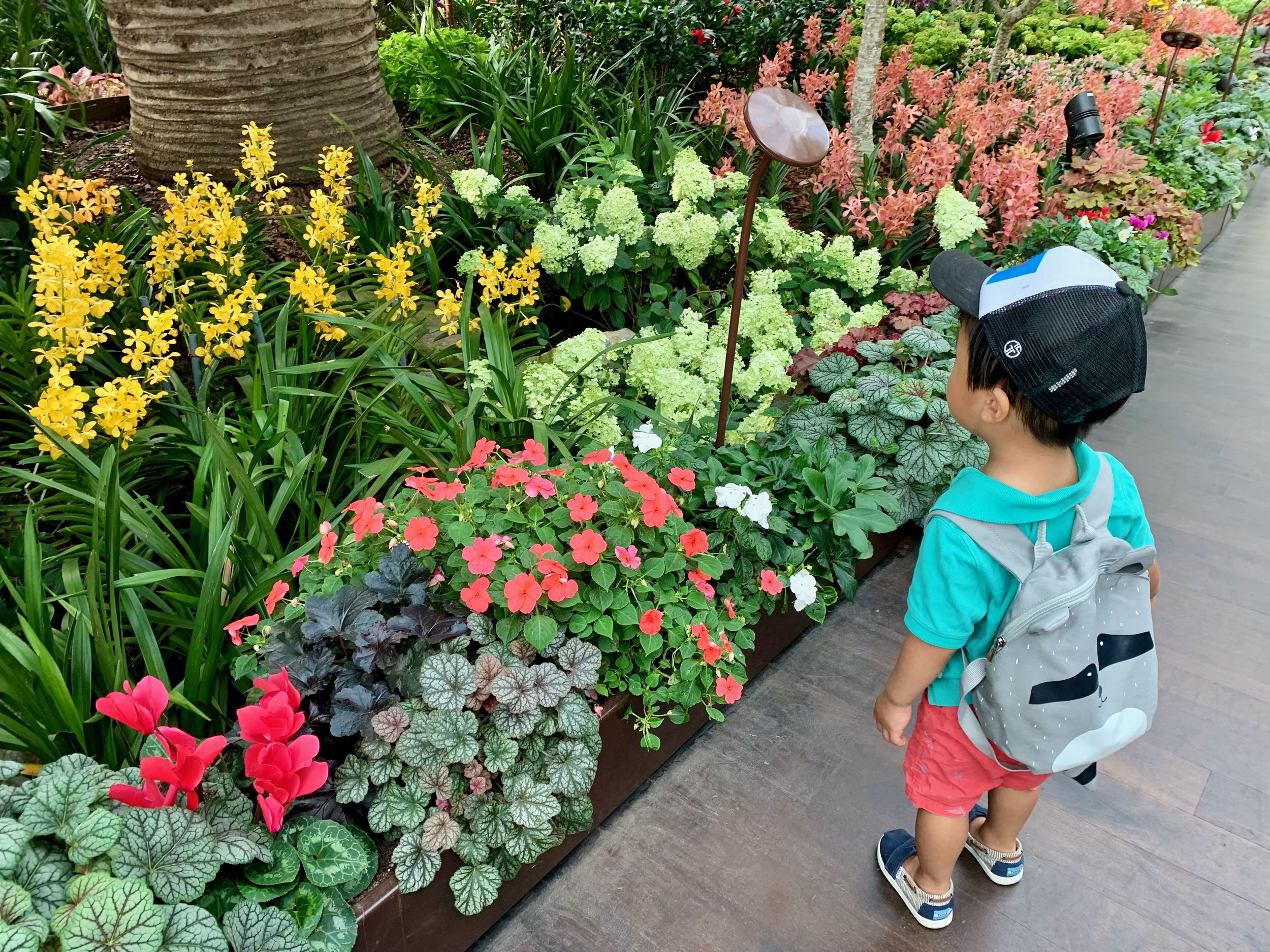 Ethan loves flowers