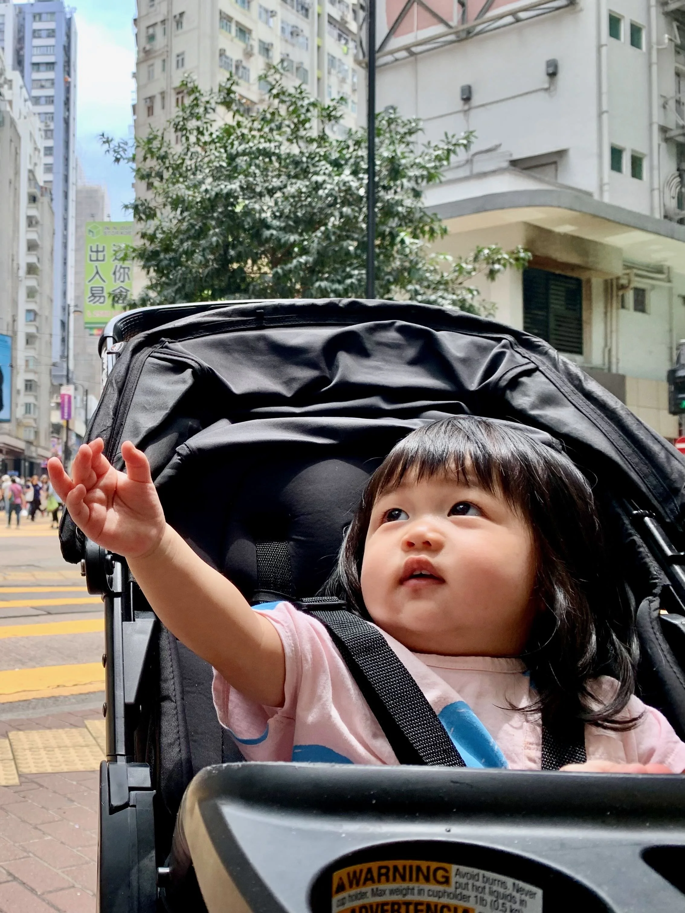 Reach for the stars, Zia