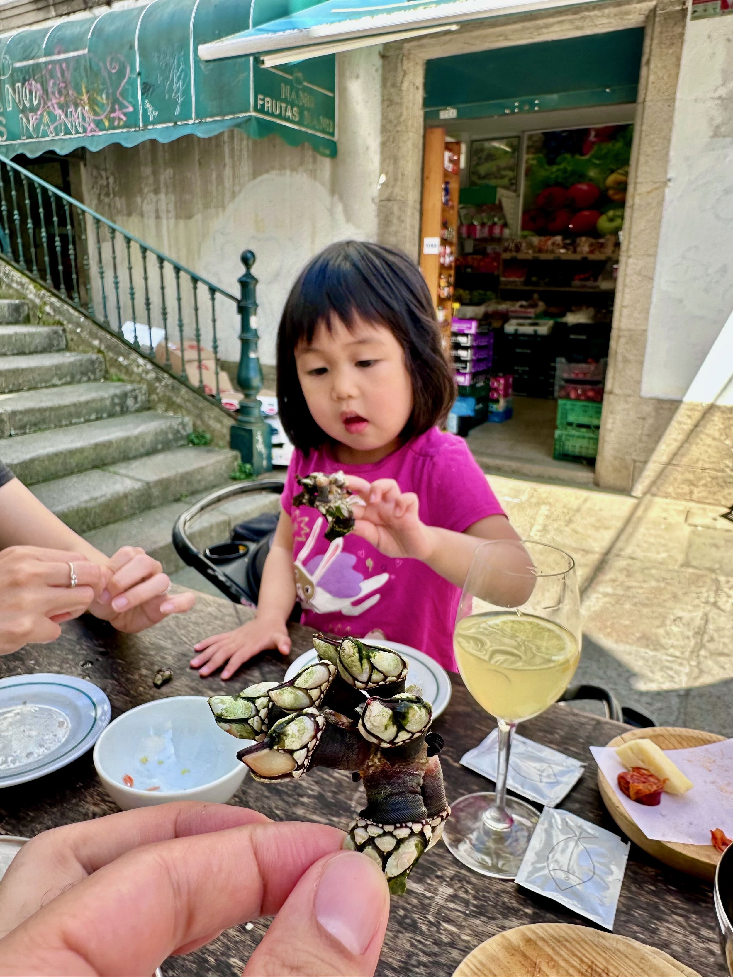 Zia likes barnacles