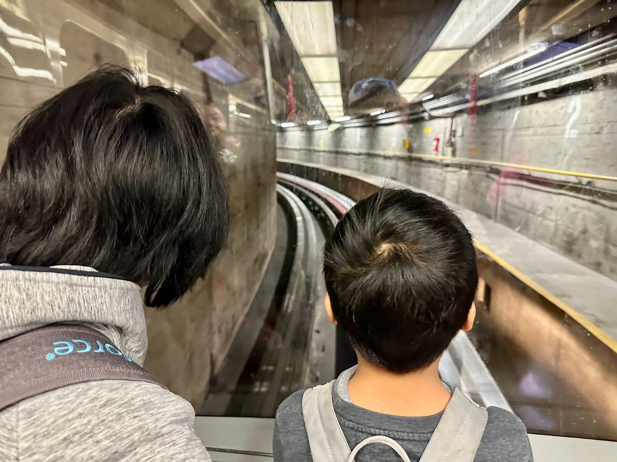 Seatac train