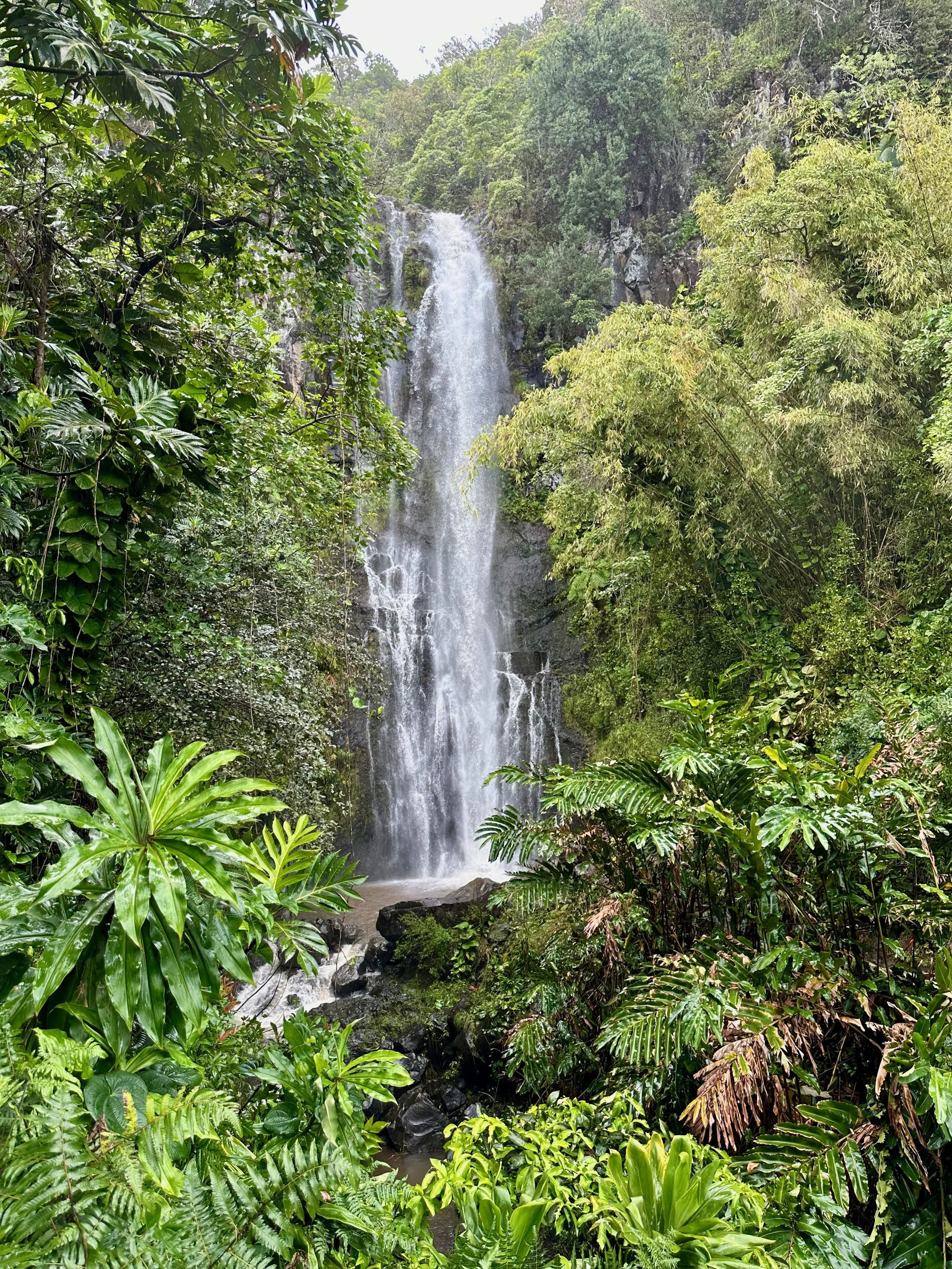 2026 Maui - 48 of 53.jpeg