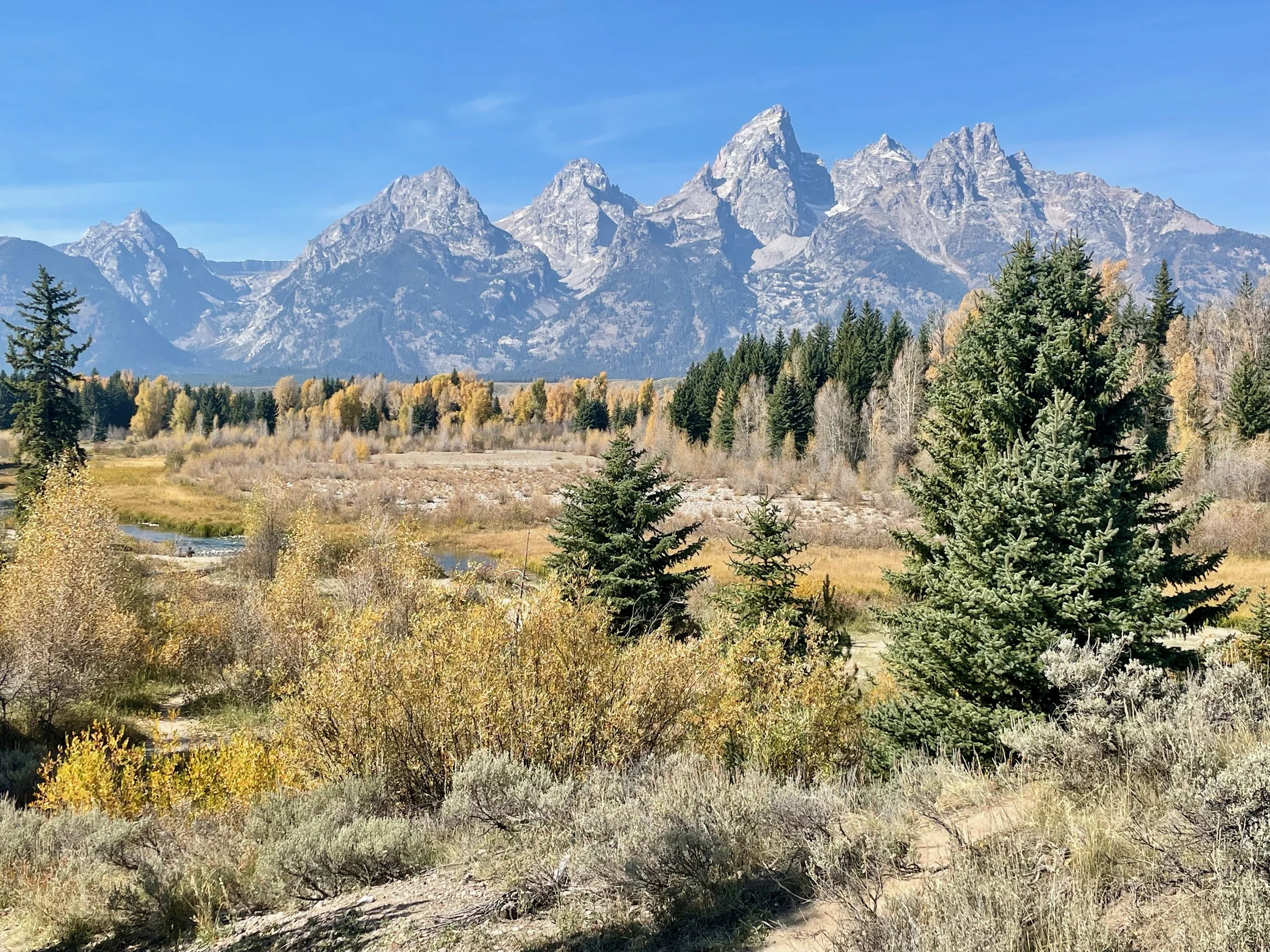 2024 Yellowstone - Grand Tetons - 60 of 66.jpeg