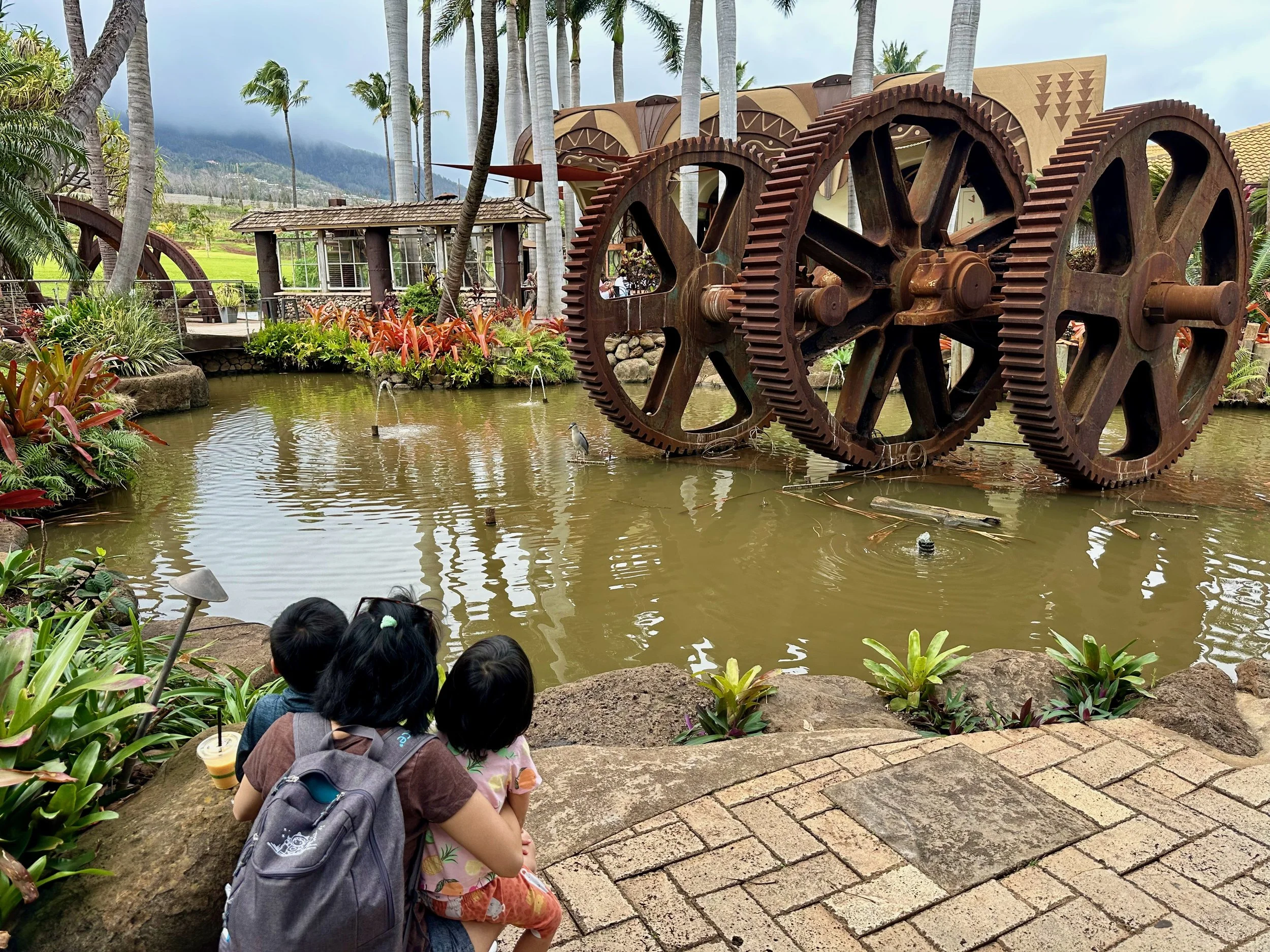 2026 Maui - 7 of 53.jpeg