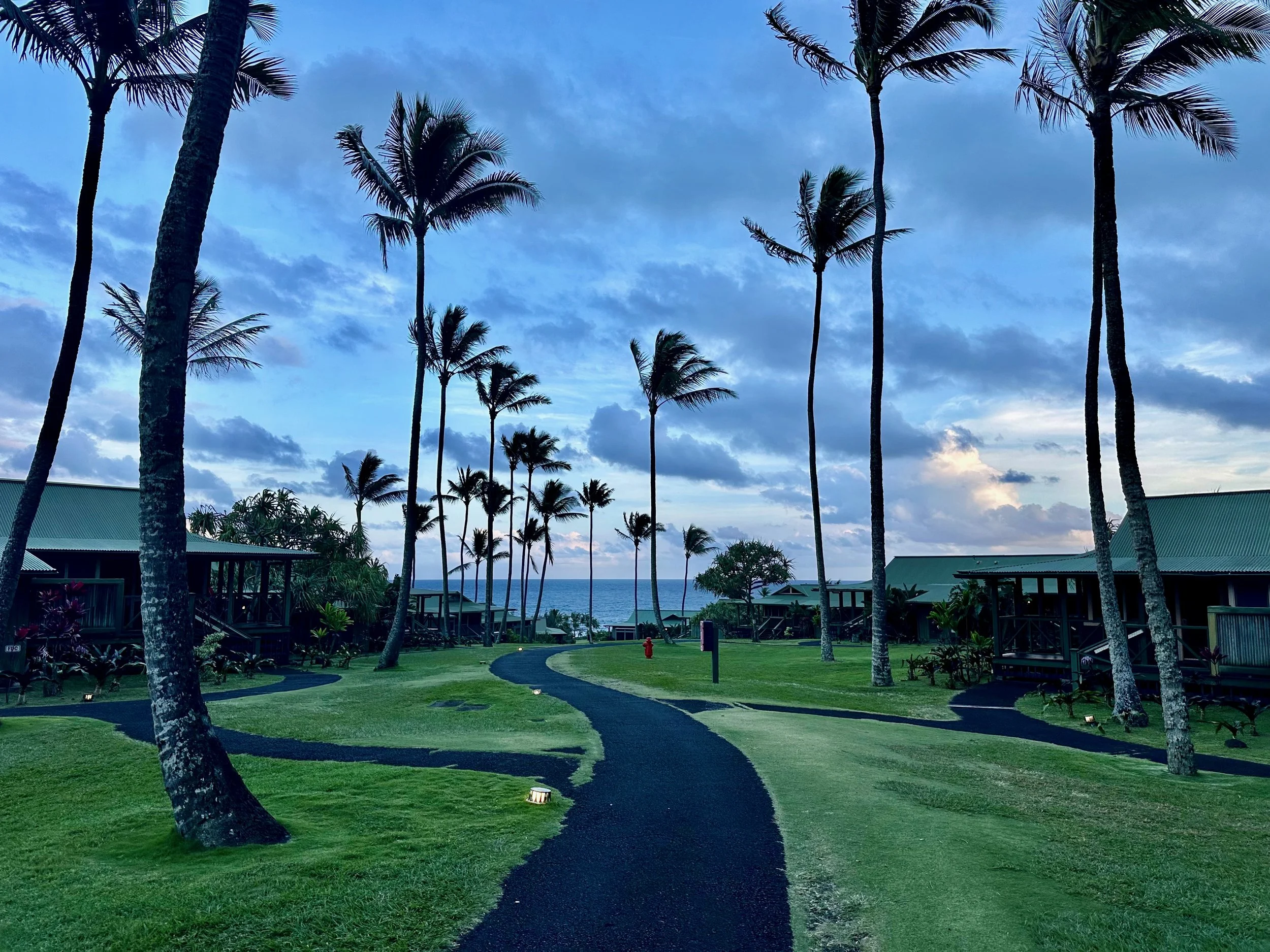 2026 Maui - 41 of 53.jpeg