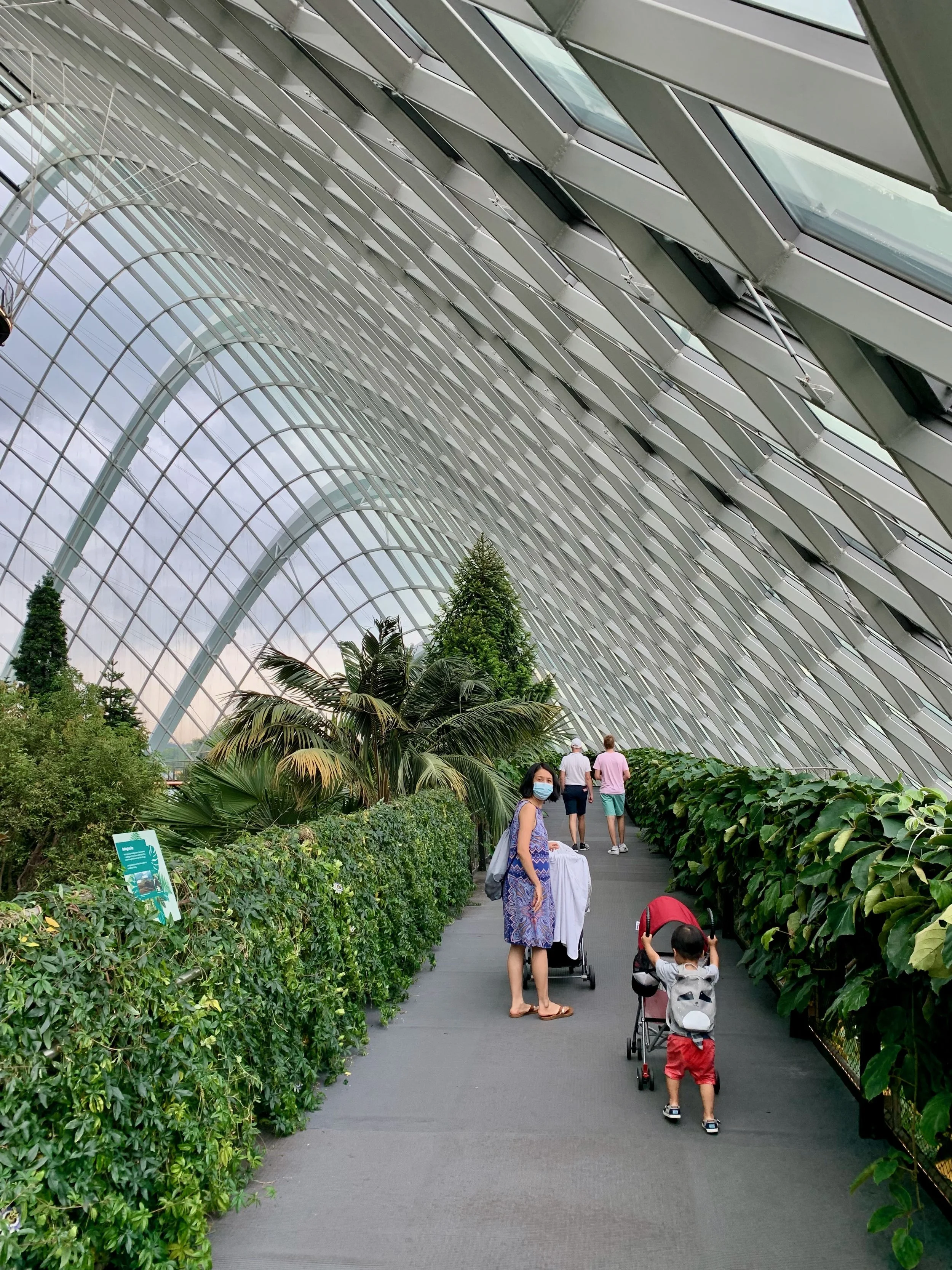 2022 Singapore - 30 of 46.jpeg