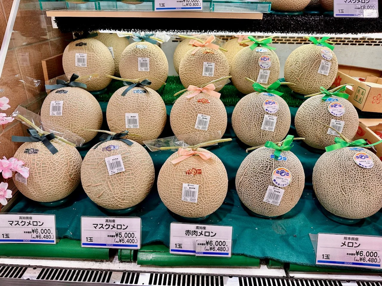 2024 Japan - 98 of 101.jpeg