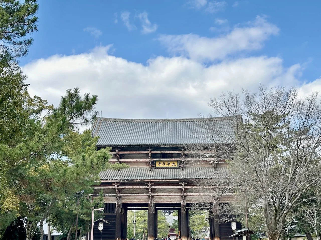Todai-ji Namdaimon (Grand South Gate)