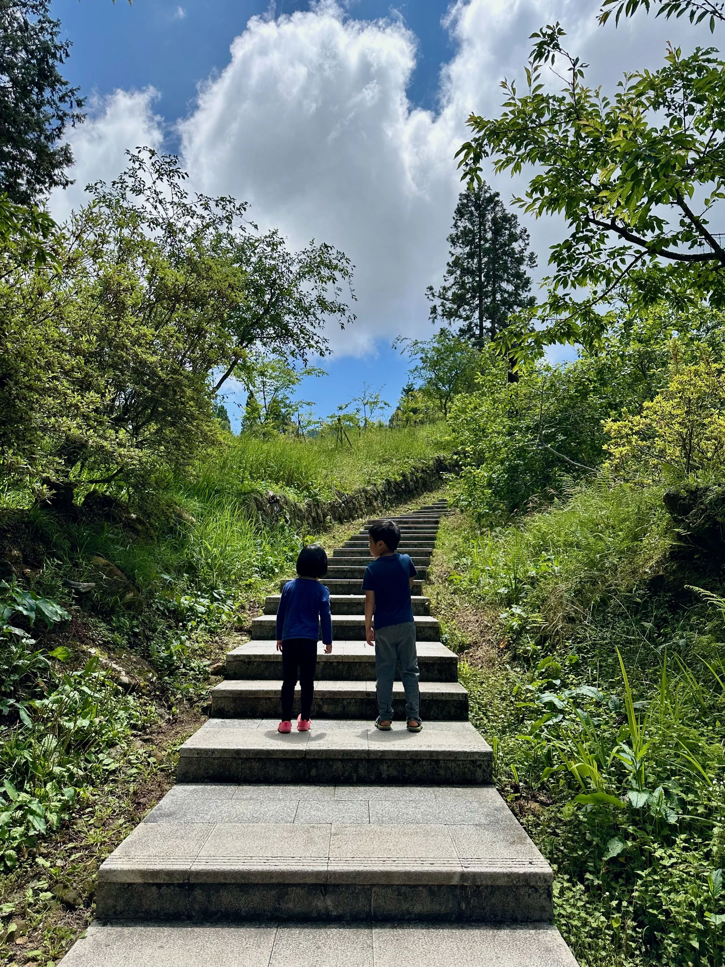 Exploring Alishan National Park