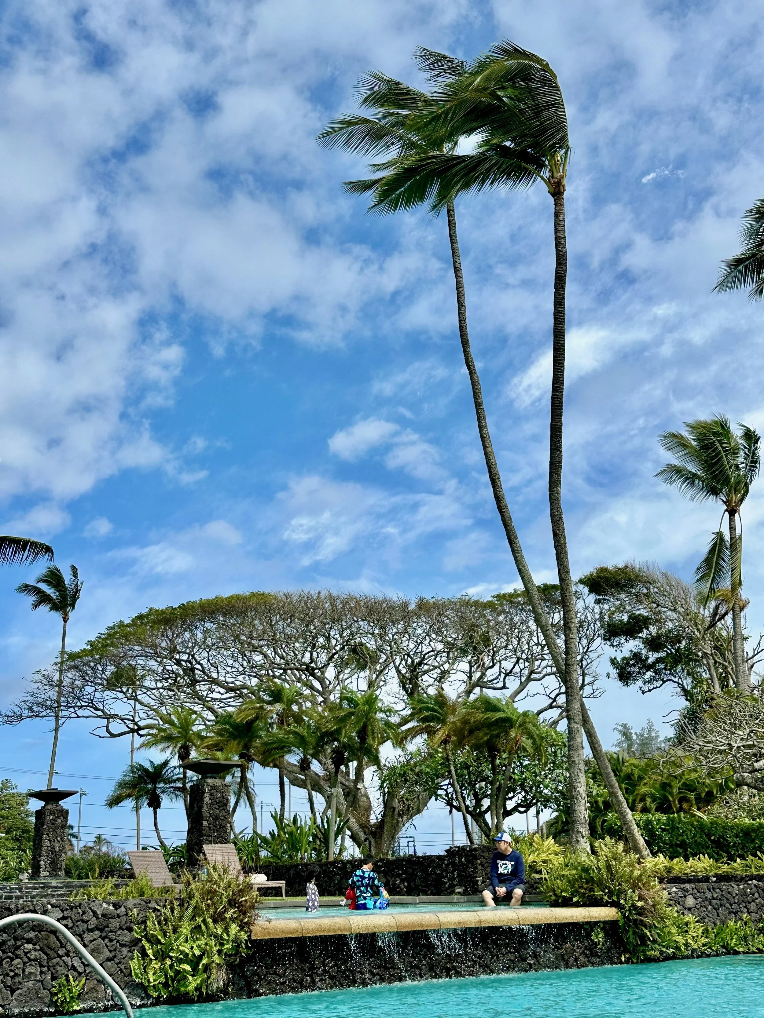 2026 Maui - 34 of 53.jpeg