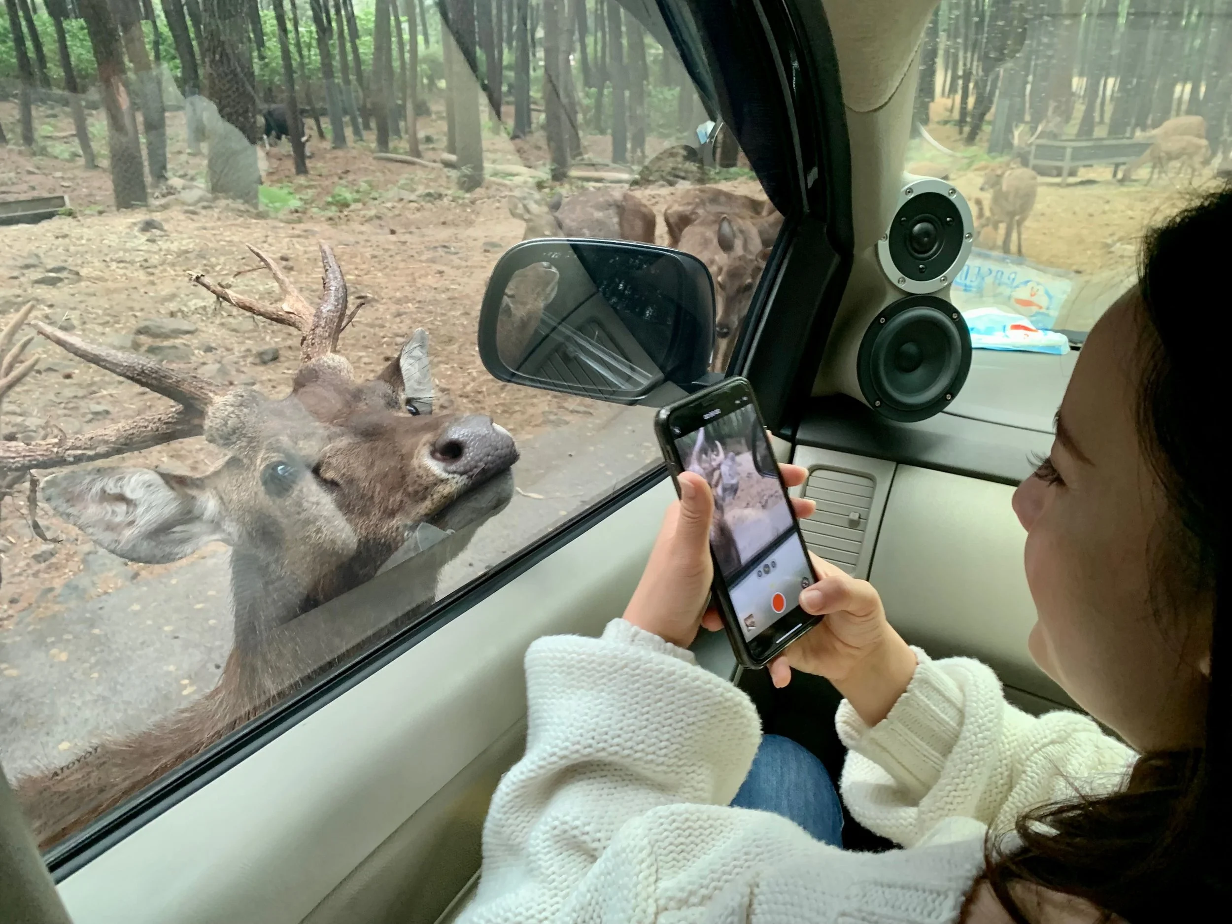 Taman Safari