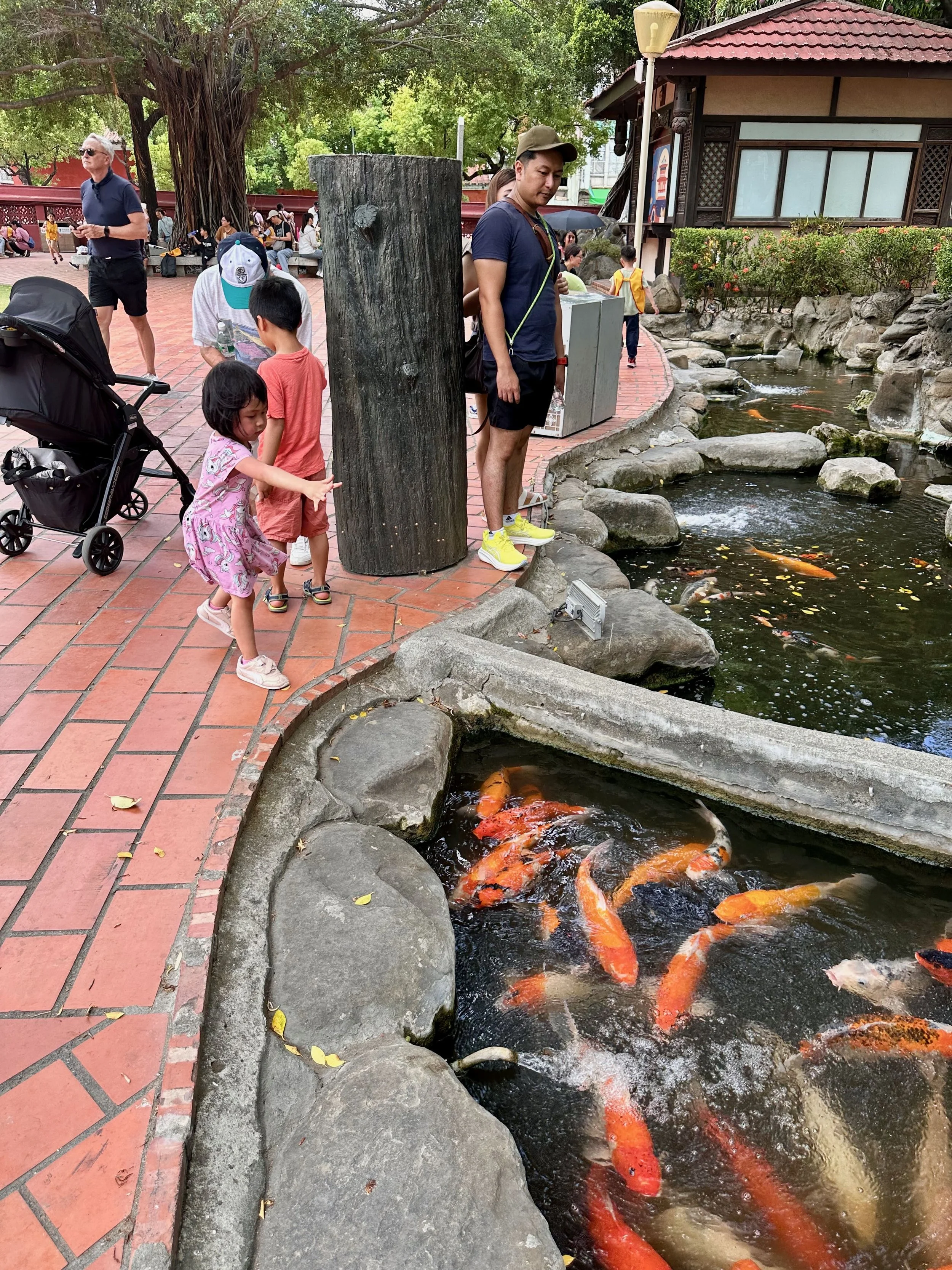 Feeding the koi at Chikan tower